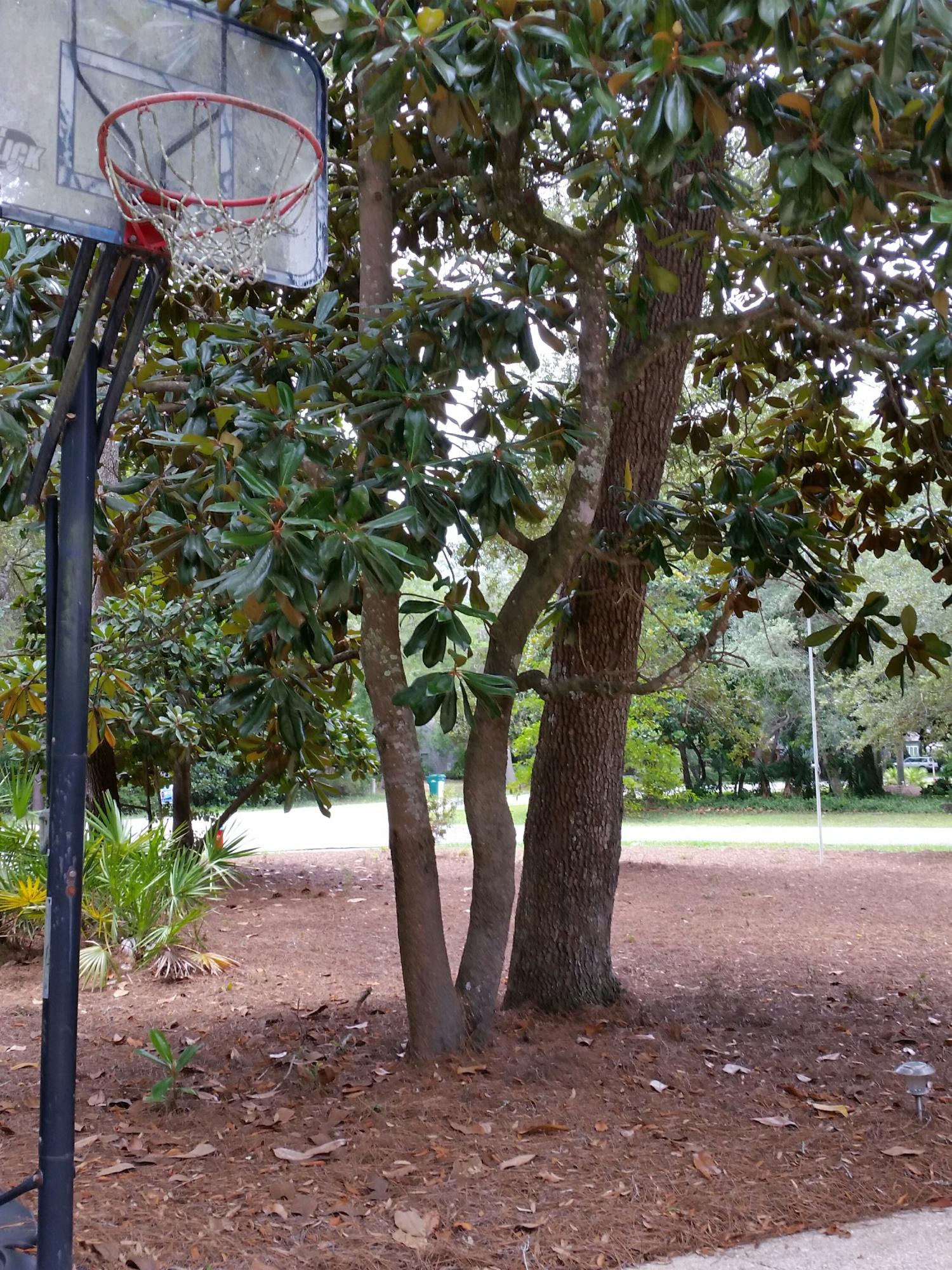 LIDO VILLAGE - Residential