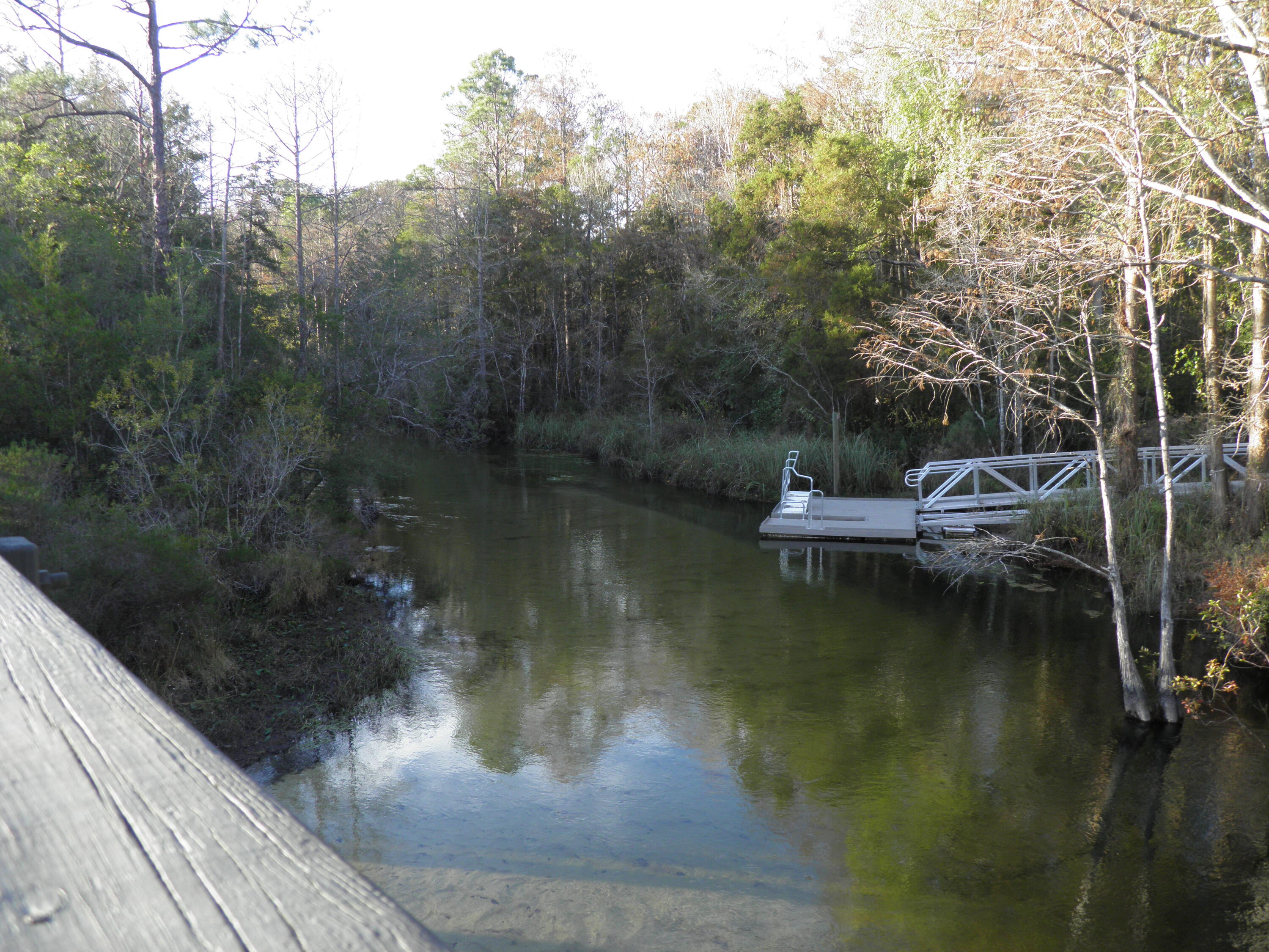 WALTON OAKS - Residential