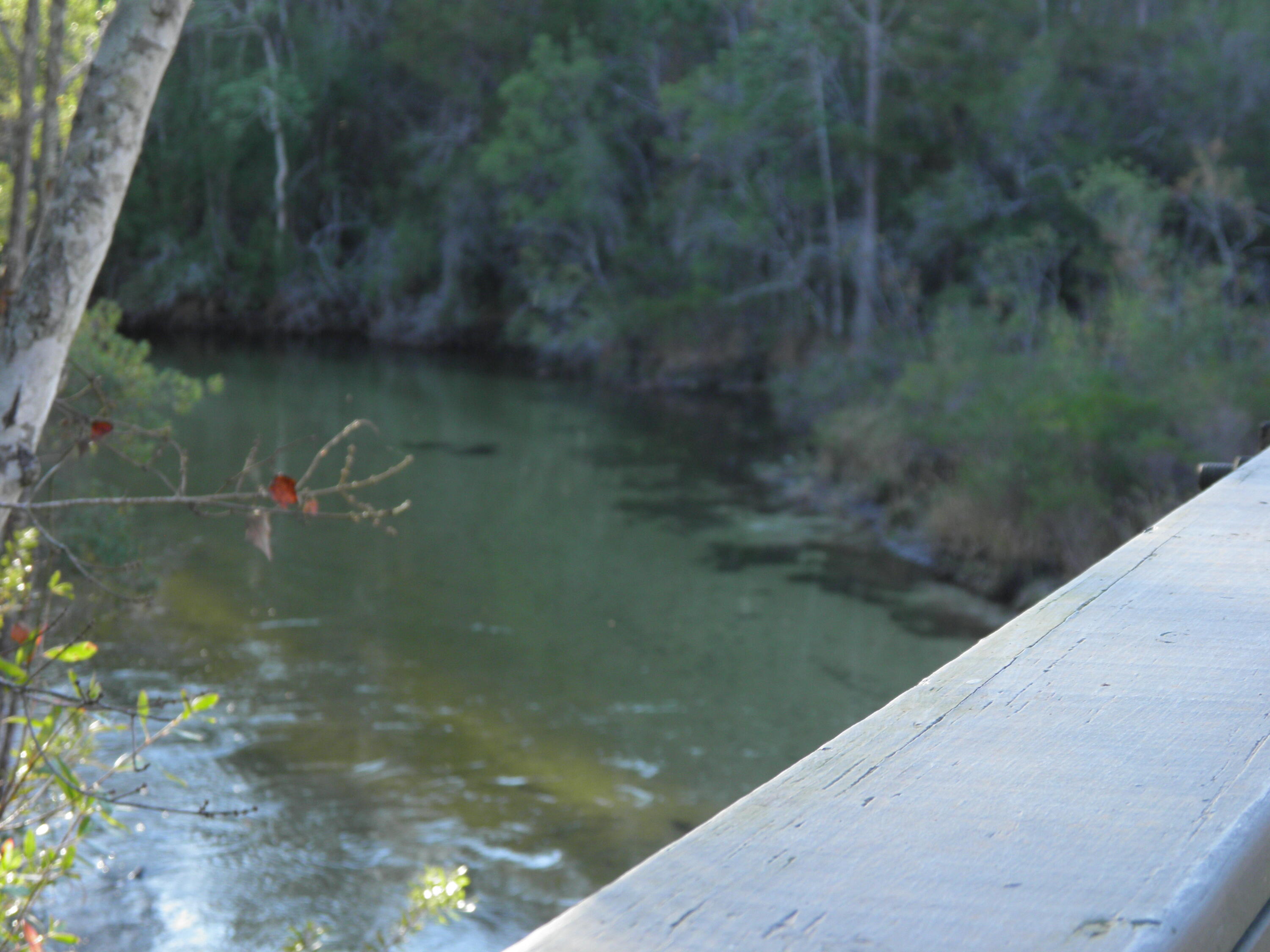 WALTON OAKS - Residential