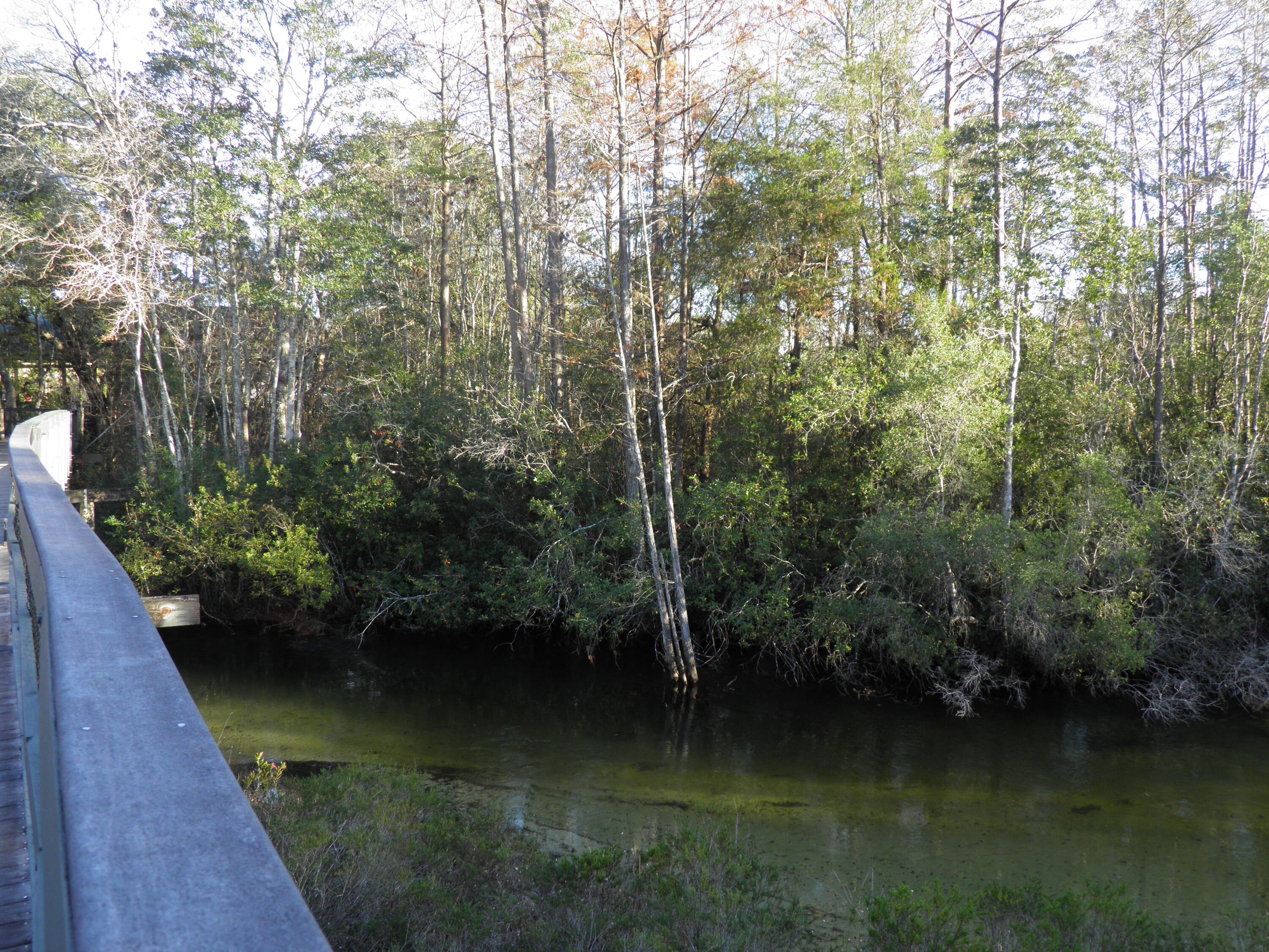 WALTON OAKS - Residential