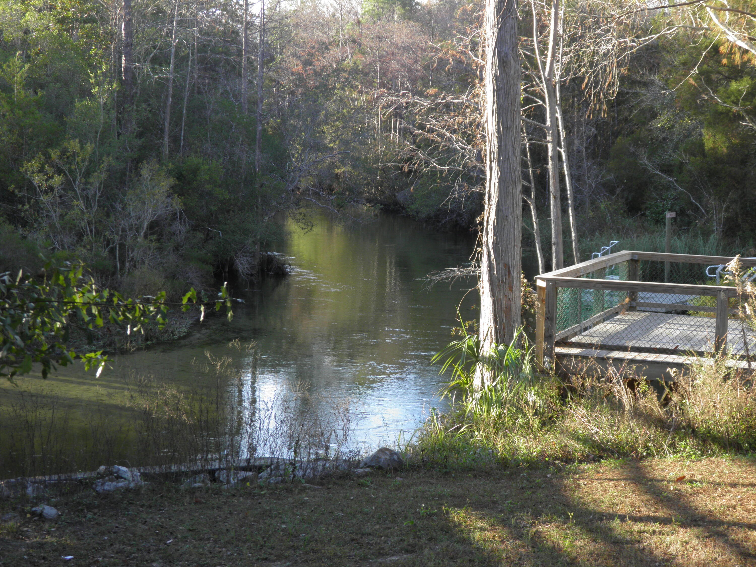 WALTON OAKS - Residential
