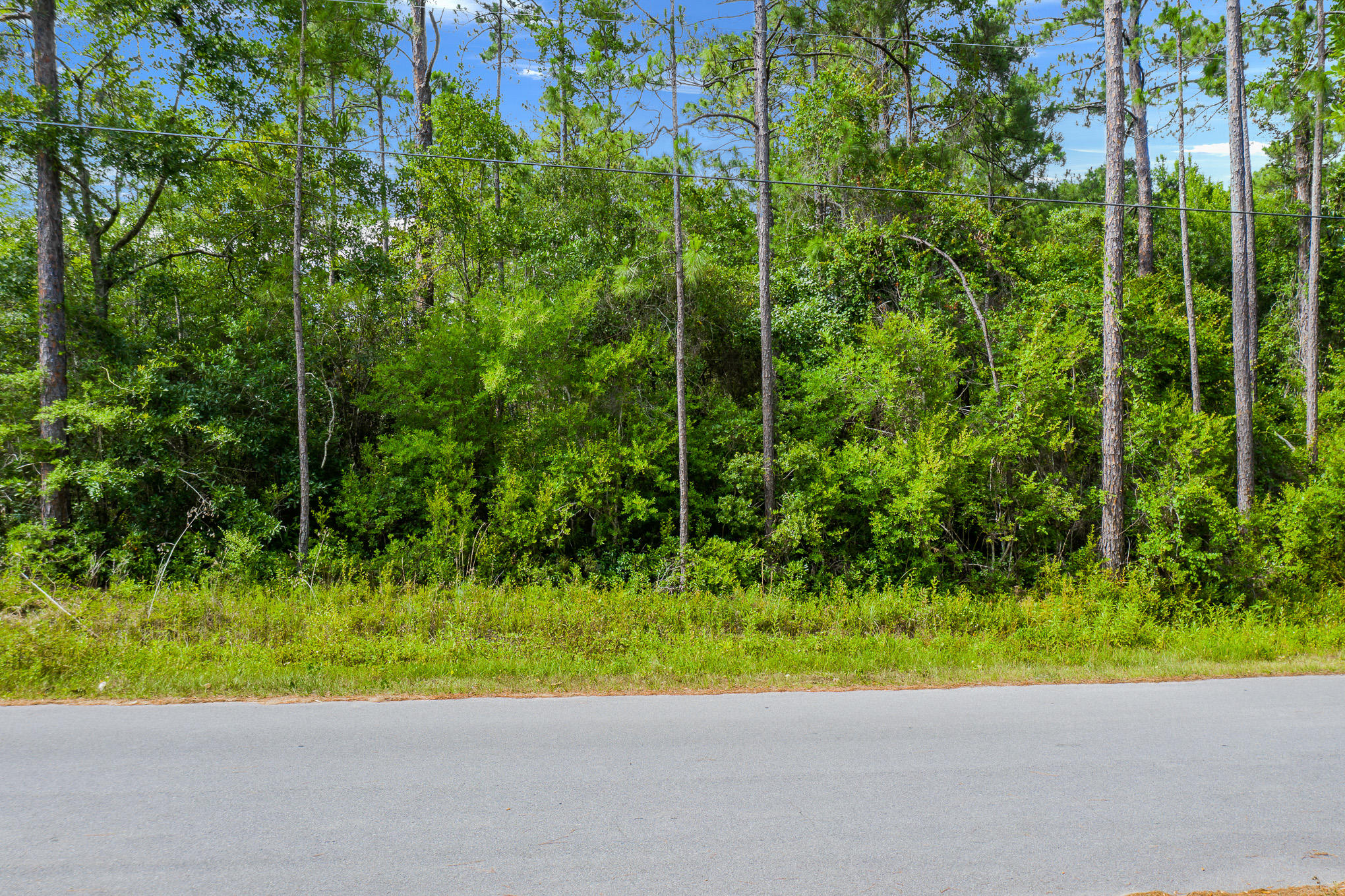 MAGNOLIA BEACH - Land