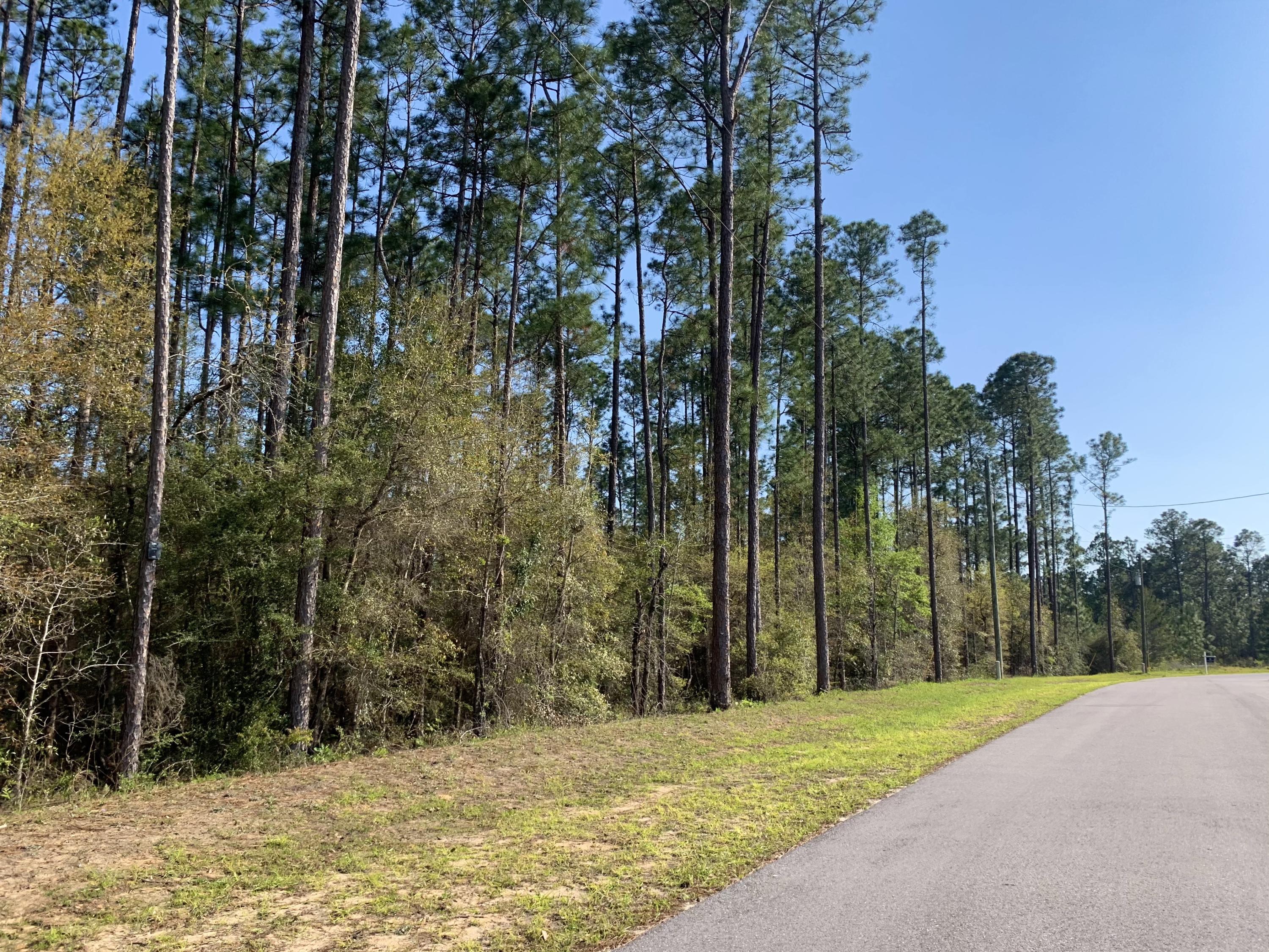 TRIPLE LAKES ESTATES - Land