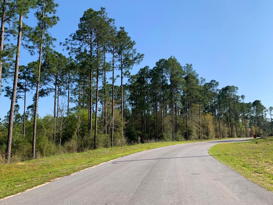 Bring your floor plans to Triple Lake Estates! Additional land is available. Brick homes all around and mobile homes are allowed.