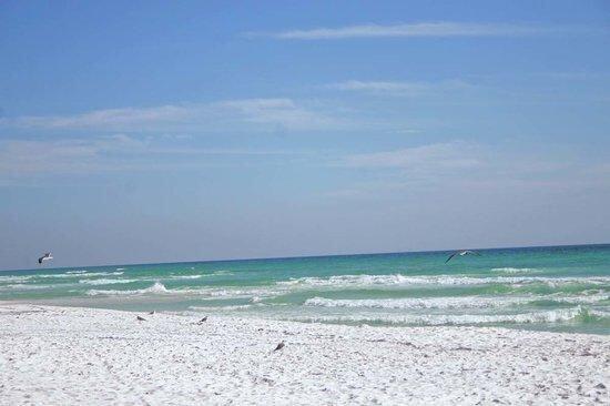 POINTE OF VIEW CONDO. - Residential Lease