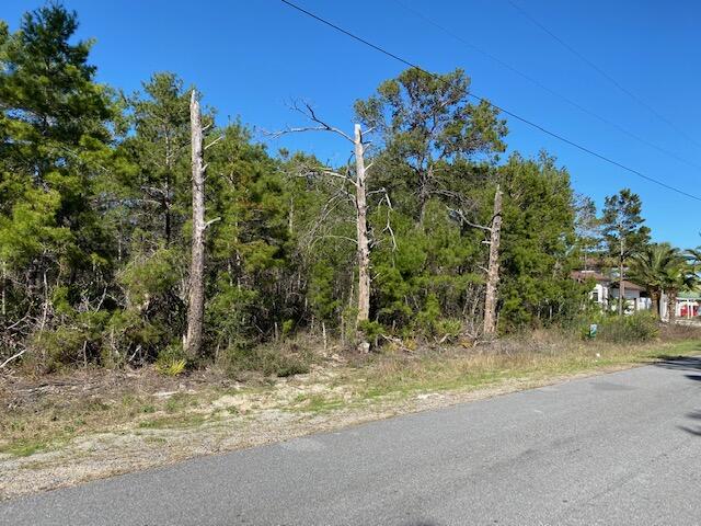 Lovely building lot just off of West Hewett. Backs up to the State Forest. Appears to be zone x and High and Dry, but buyer needs to do their own due diligence to ascertain that the property will suit their needs. Sewer, water, electricity, and cable are available but no Tap fees have been paid. Very few lots like this available this close to Sacred Heart and Sandestin. No HOA or build out time. The corner lot adjoining the west side is also for sale. Buy both and have over 1/2 acre! Plenty of room for RV or Boat.