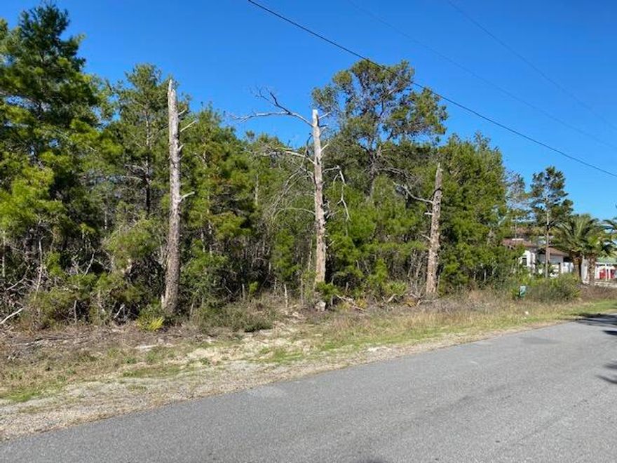 Lovely building lot just off of West Hewett.  Backs up to the State Forest.  Appears to be zone x and High and Dry, but buyer needs to do their own due diligence to ascertain that the property will suit their needs.  Sewer, water, electricity, and cable are available but no Tap fees have been paid.  Very few lots like this available this close to Sacred Heart and Sandestin.  No HOA or build out time.  The corner lot adjoining the west side is also for sale.  Buy both and have over 1/2 acre!  Plenty of room for RV or Boat.