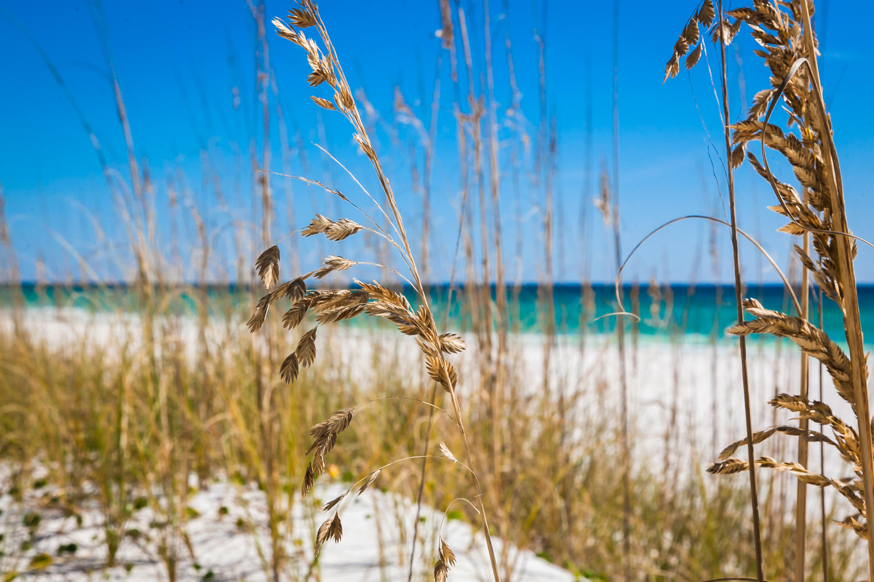 DUNES OF DESTIN - Residential