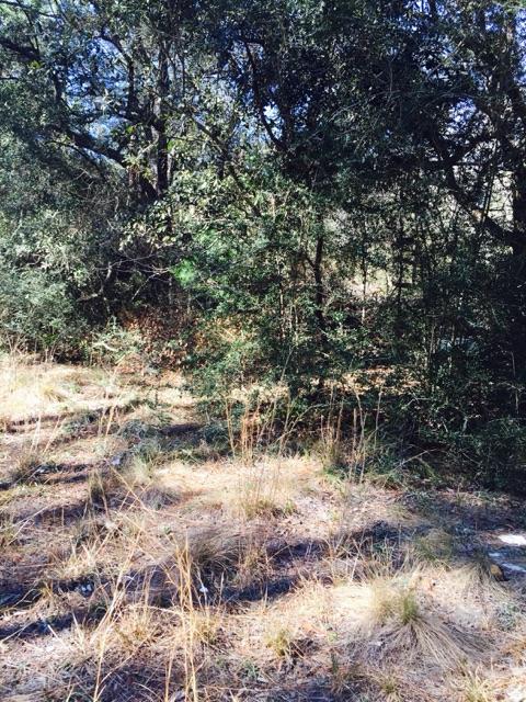 Vacant land ready for you to build your dream home. Enjoy quiet country living in Freeport, Florida. This 1 acre lot is right near Black Creek and features native Florida plants and trees. You will appreciate the peaceful forest, kayaking and more in Freeport or hop over the bridge and drop into the beautiful beaches of 30A to enjoy Miramar Beach, Seaside, etc.The 1 acre lot is accessed via deeded easement from Hwy 3280. The property sits directly behind the ranch home at 4805 County Hwy 3280. BUY NOW before prices increase due to the construction starting in the area.