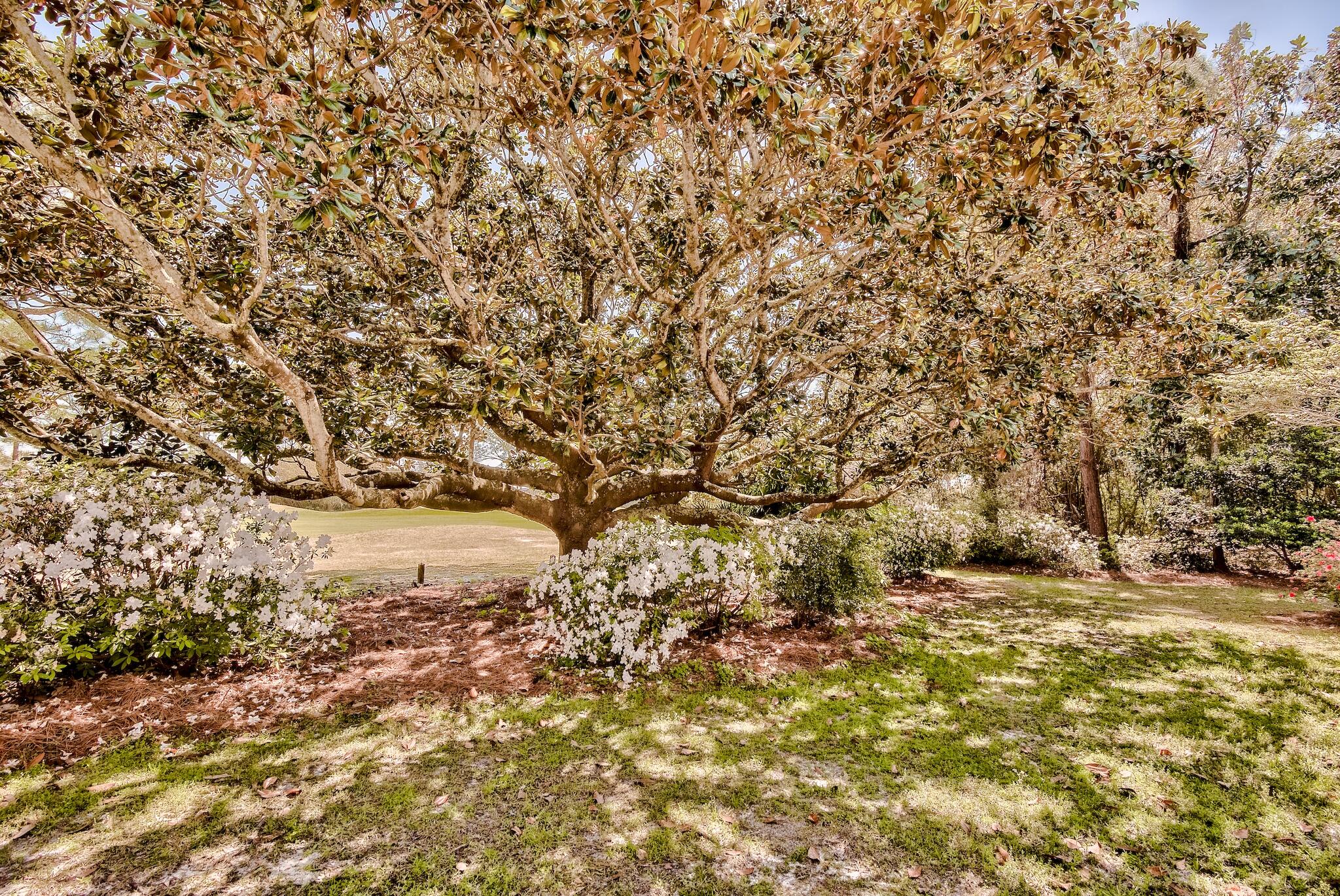 Golfview Drive Association - Residential