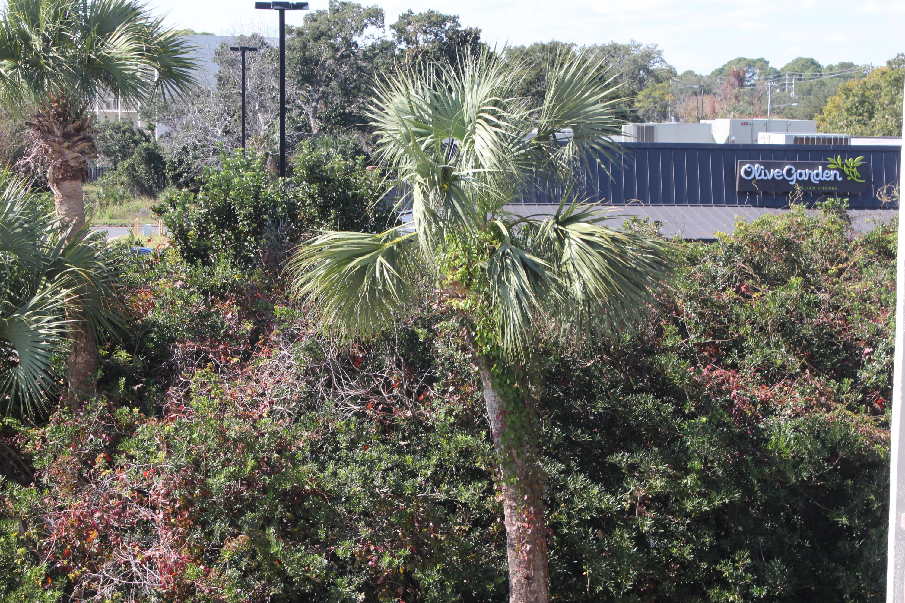 PIRATES BAY PH 1 - Residential