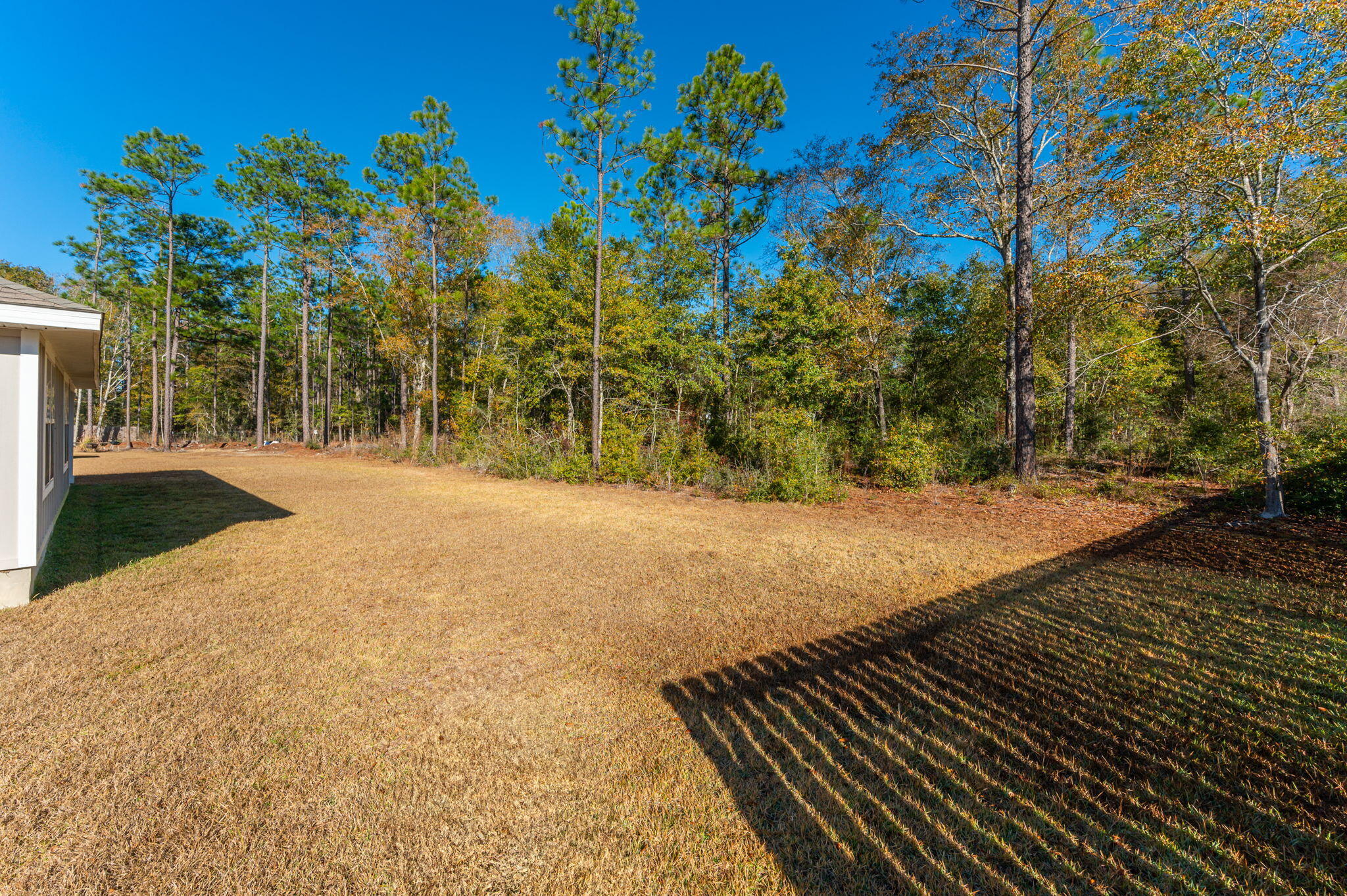 Timberland Ridge - Residential