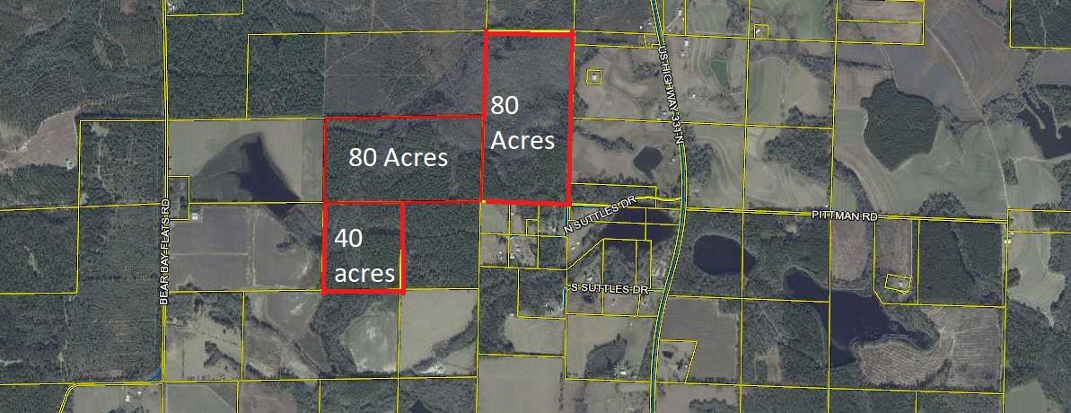 200 Acres in North Walton County that could be your chance to live the dream. Timber has just been thinned. Perfect for recreation and a nice place in the back for a homesite. Come take a look and don't miss the opportunity to live the country life!!