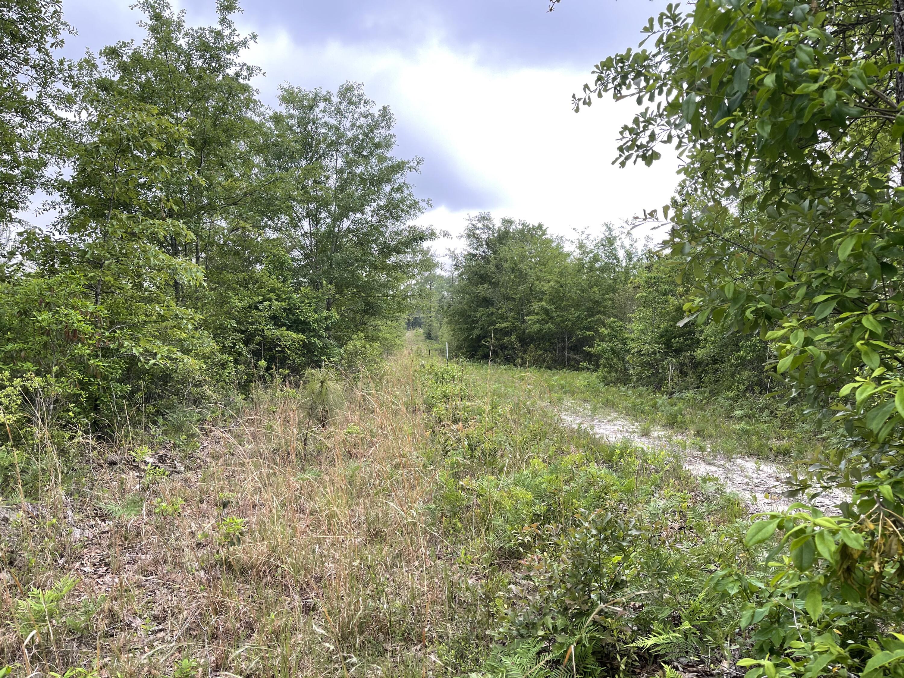 Metes and Bounds - Farm