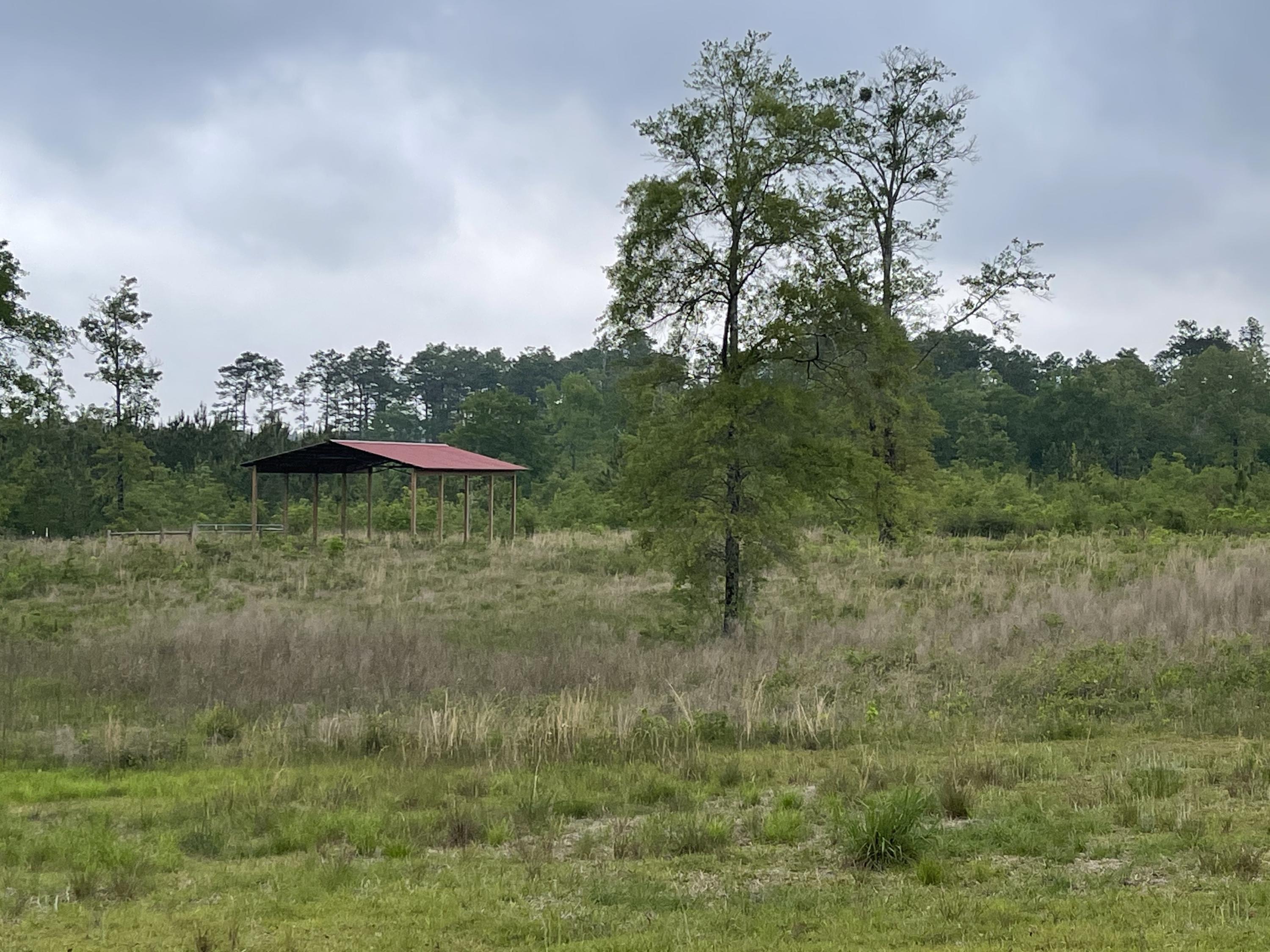 Metes and Bounds - Farm