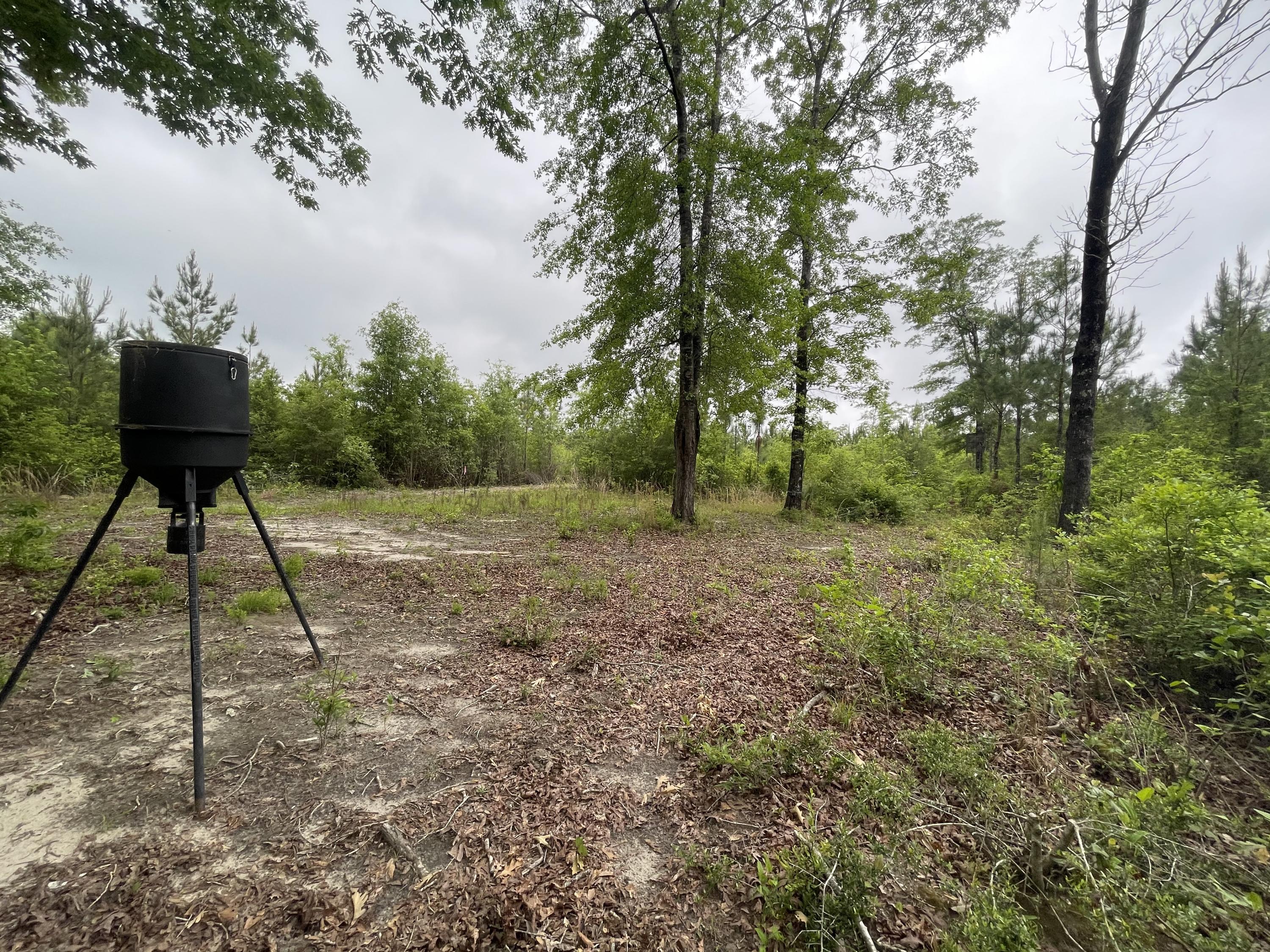 Metes and Bounds - Farm