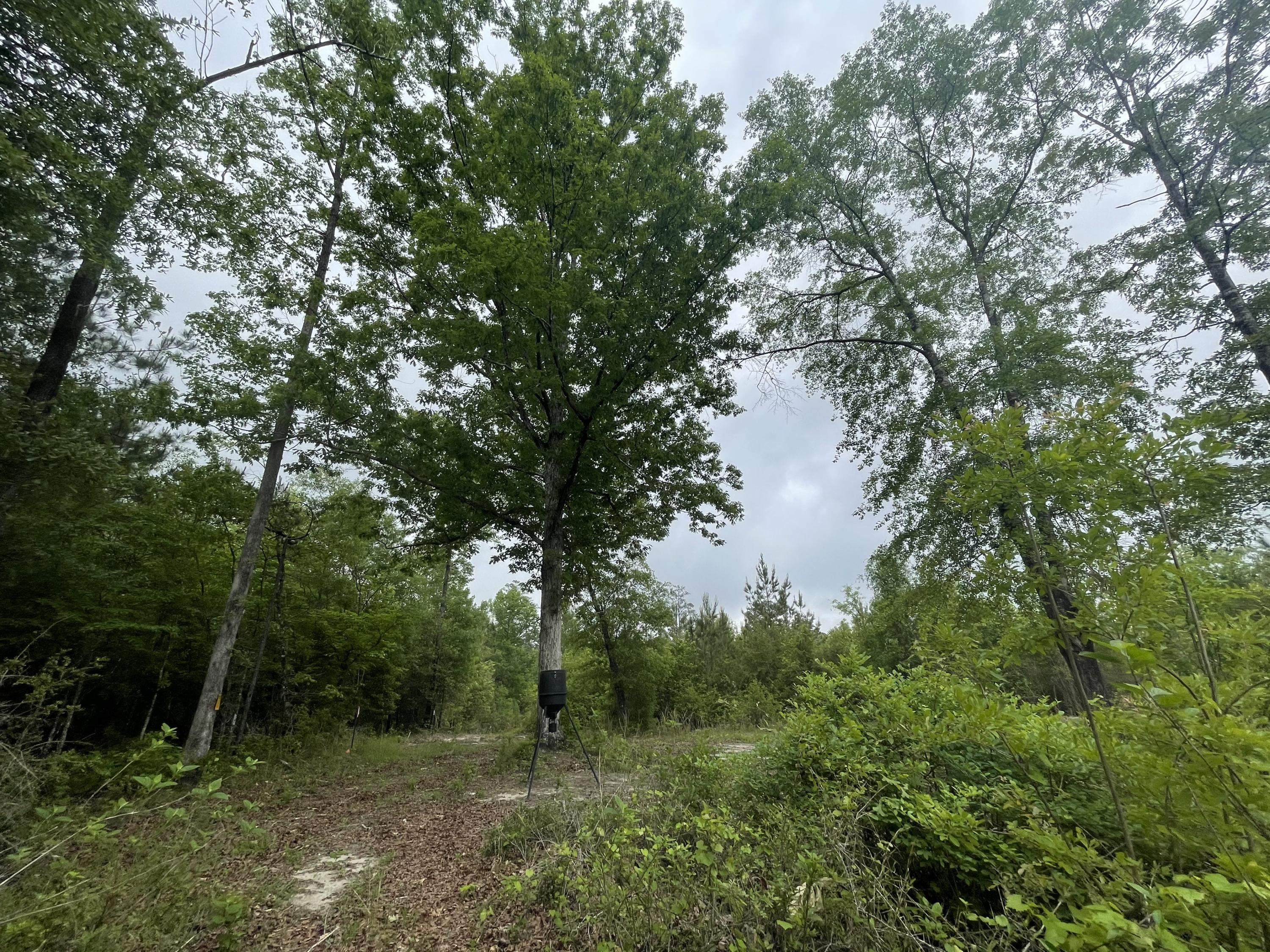 Metes and Bounds - Farm