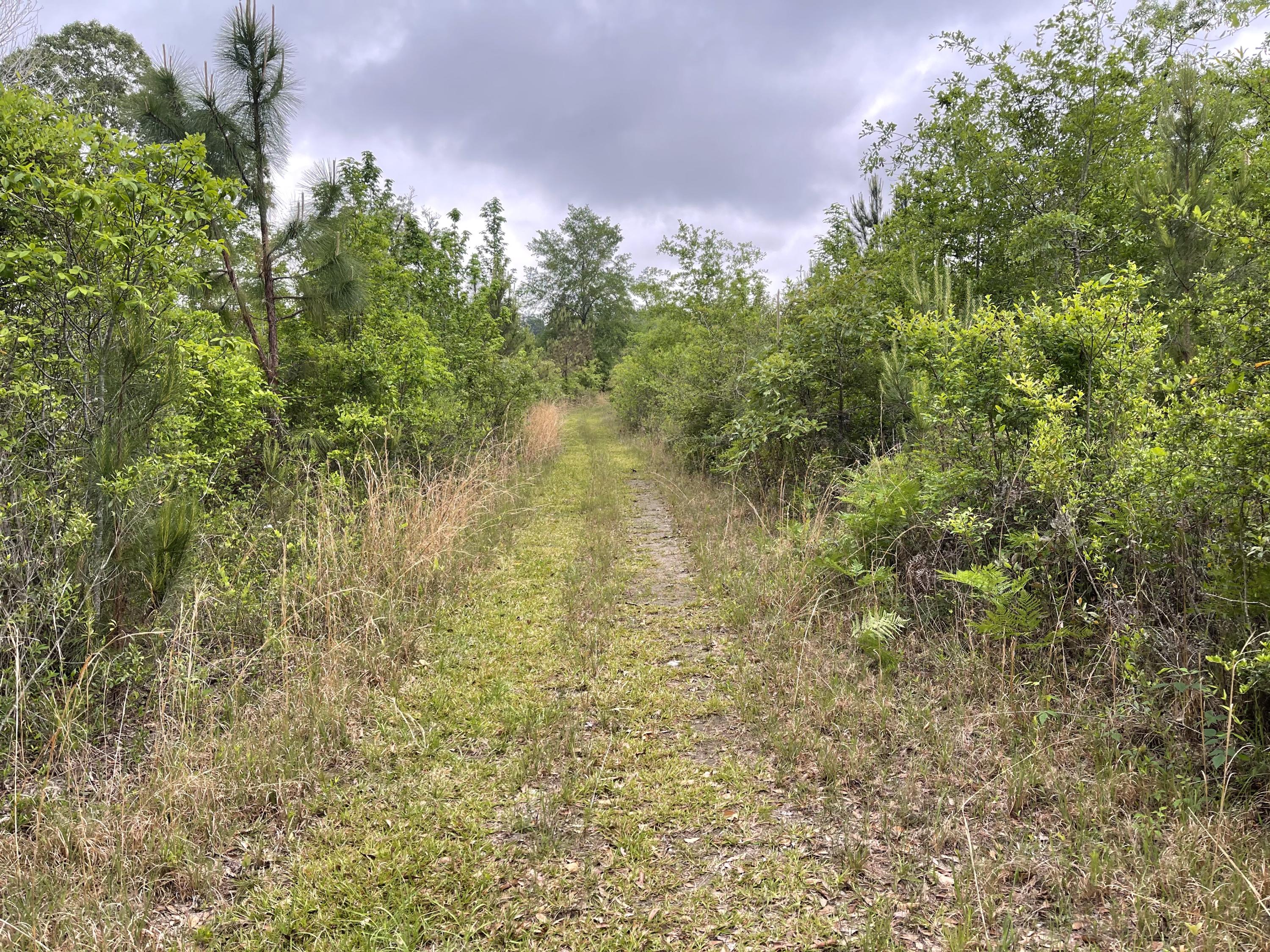 Metes and Bounds - Farm