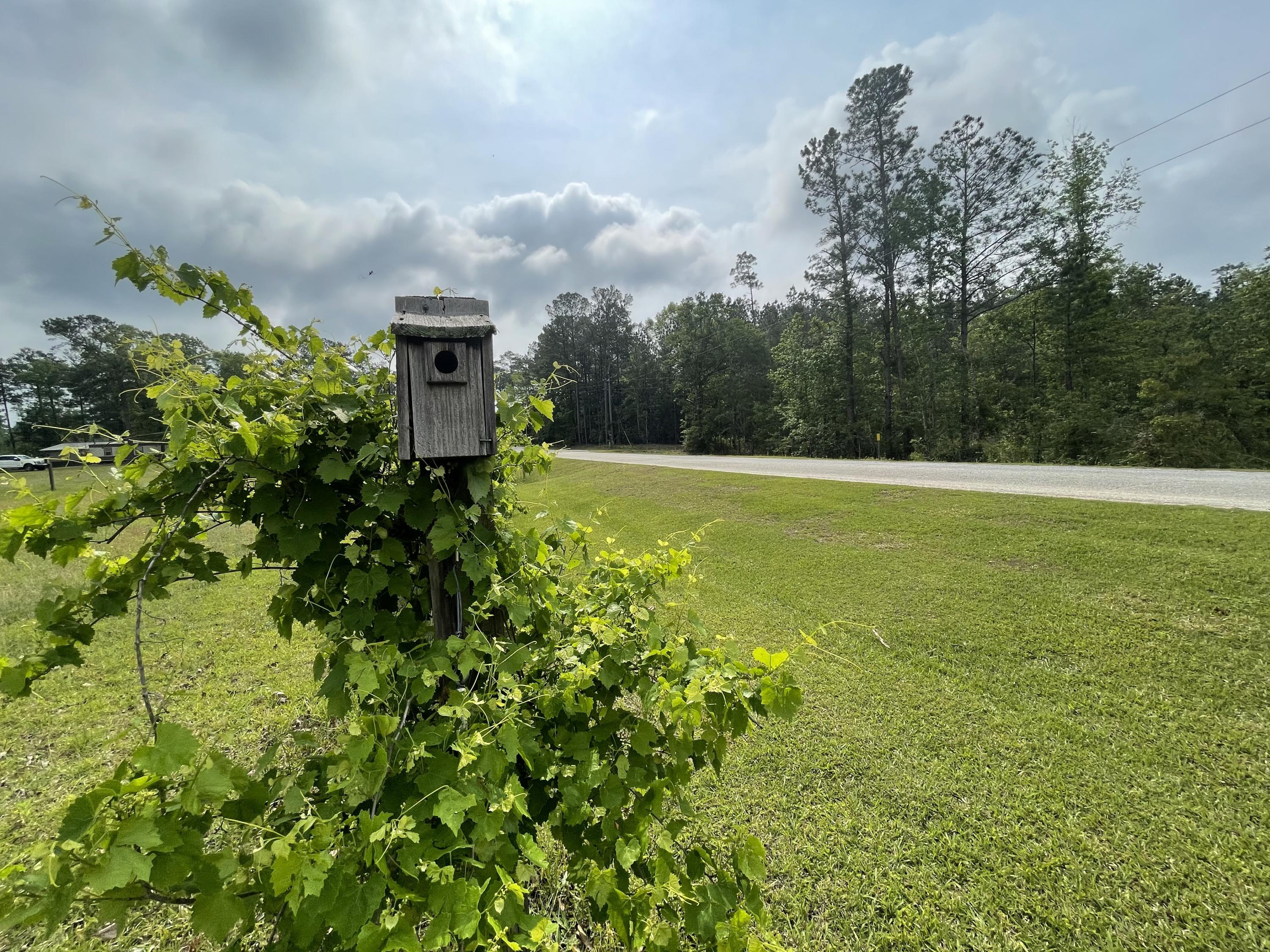 Metes and Bounds - Farm