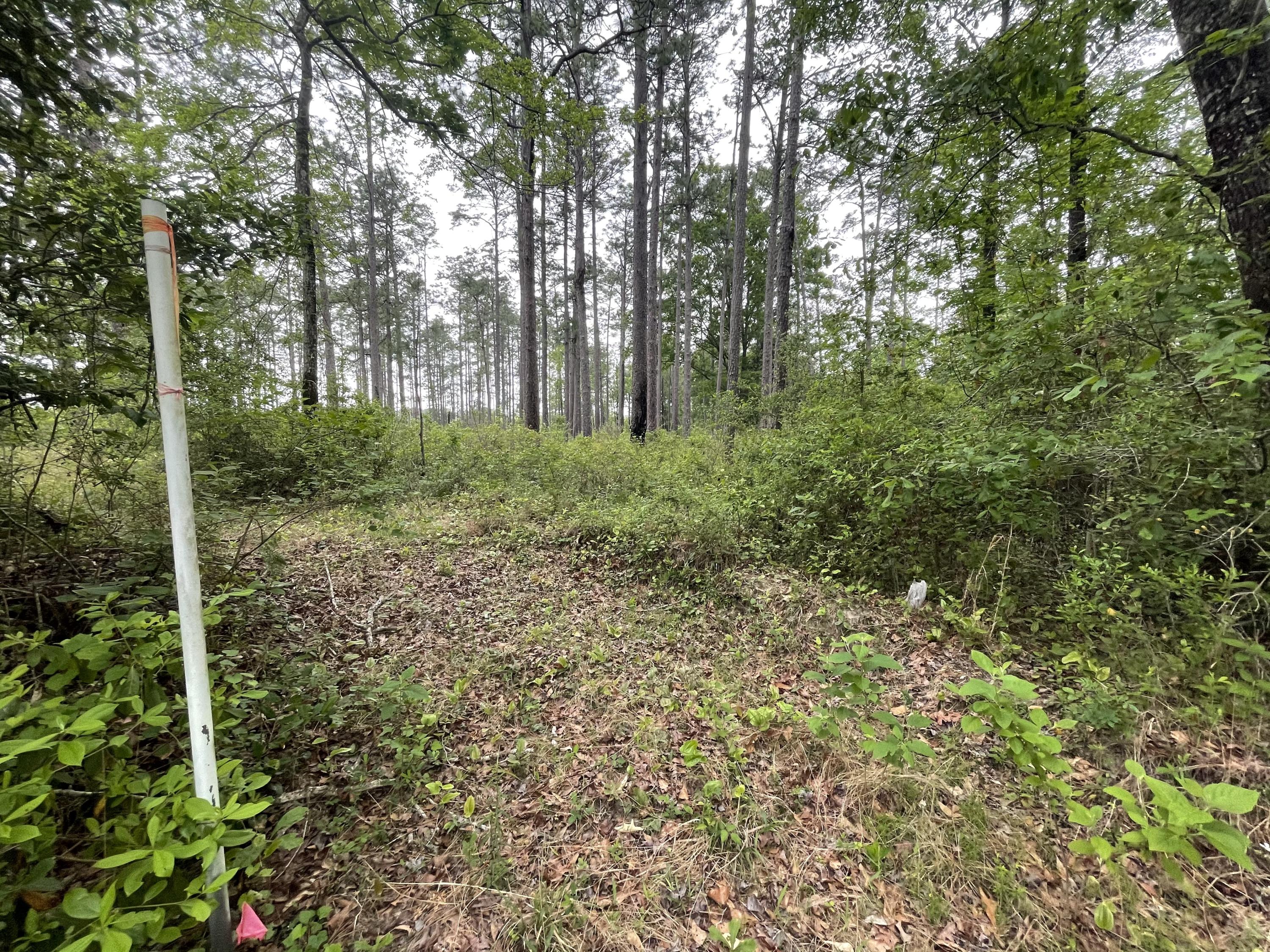 Metes and Bounds - Farm