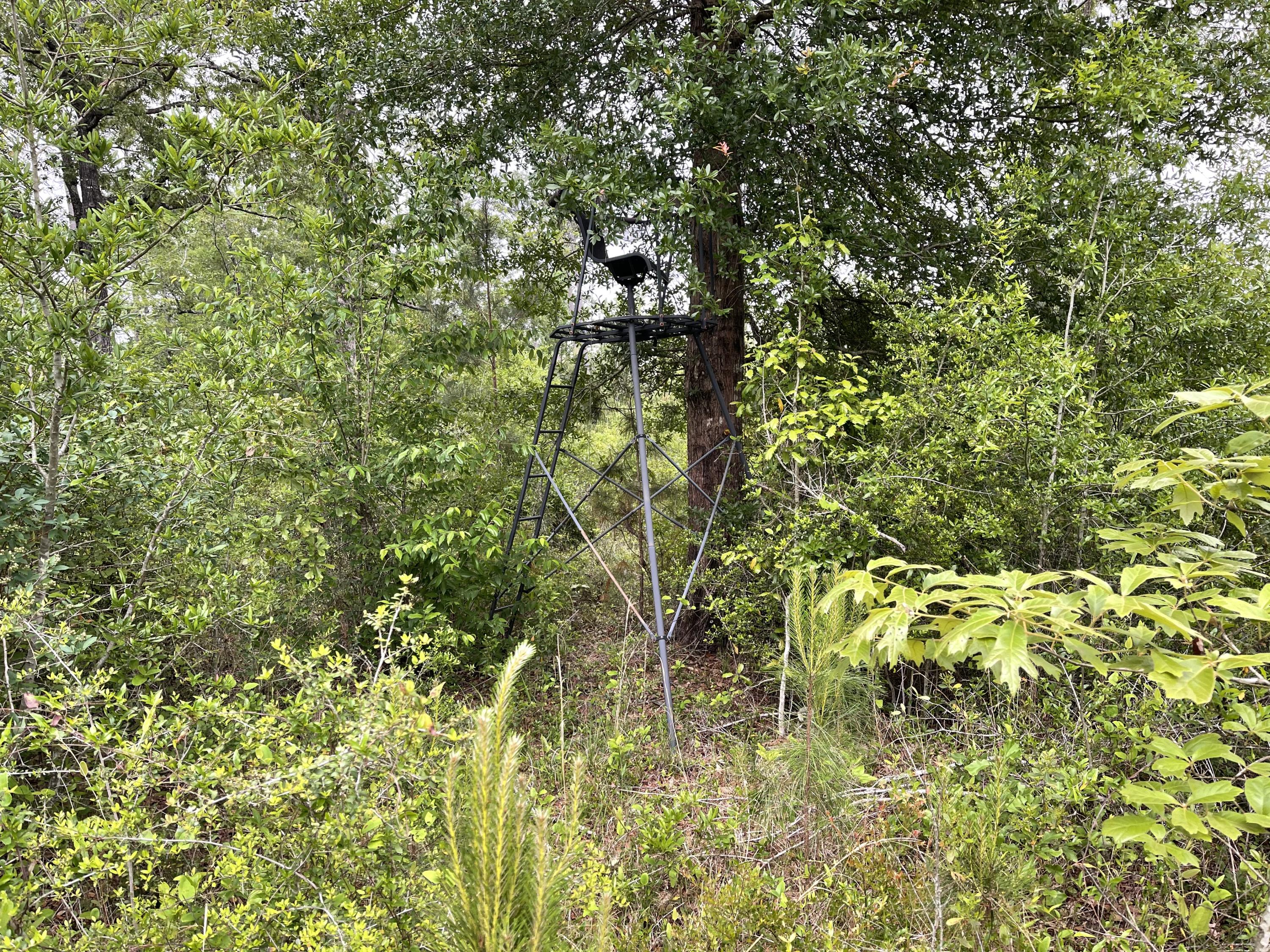 Metes and Bounds - Farm