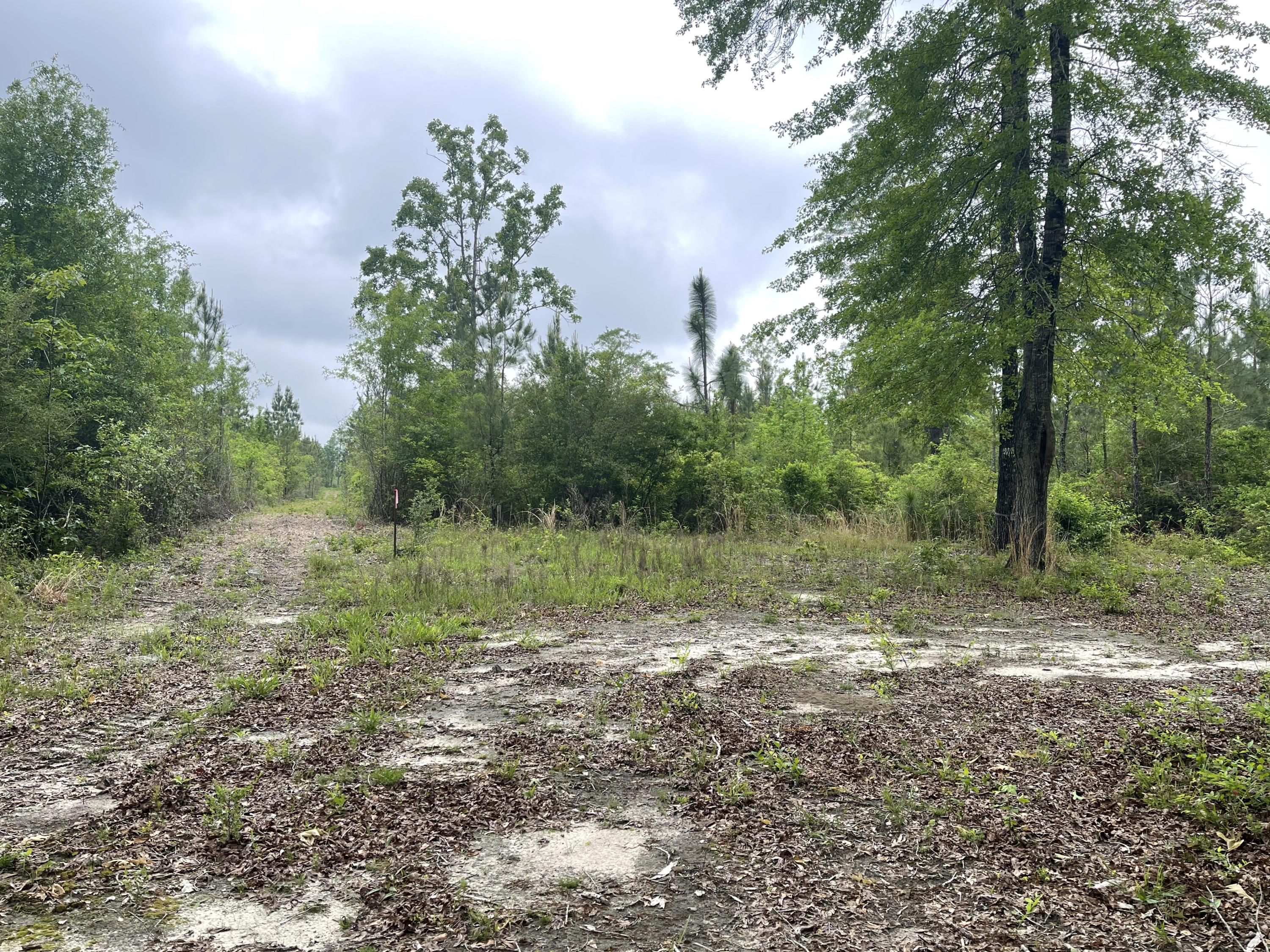 Metes and Bounds - Farm