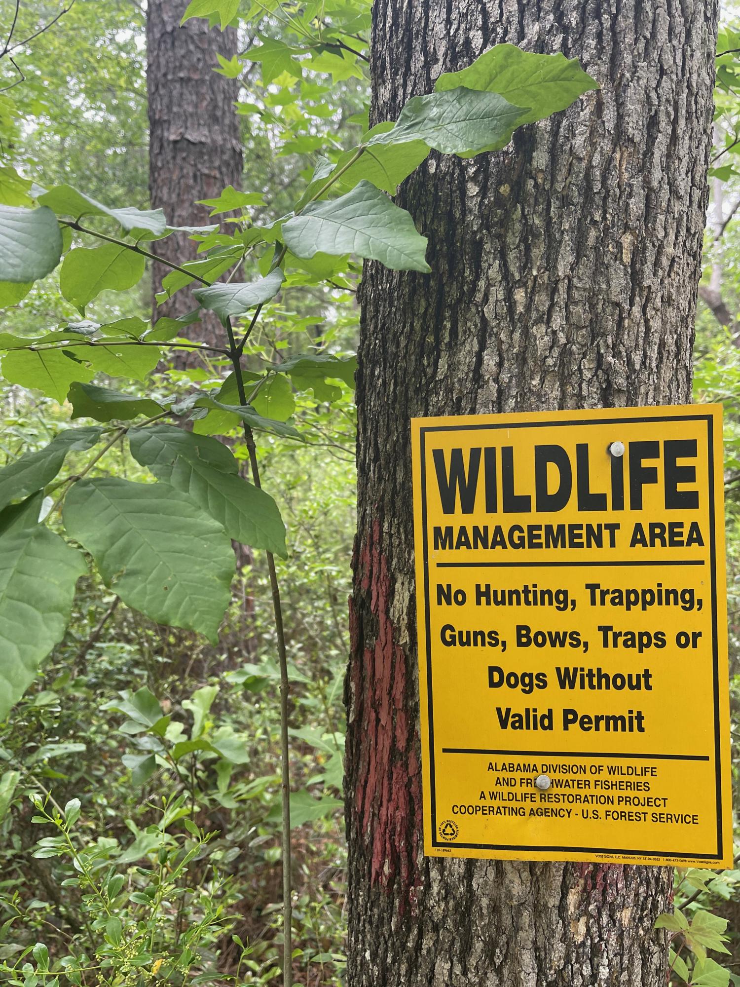 Metes and Bounds - Farm