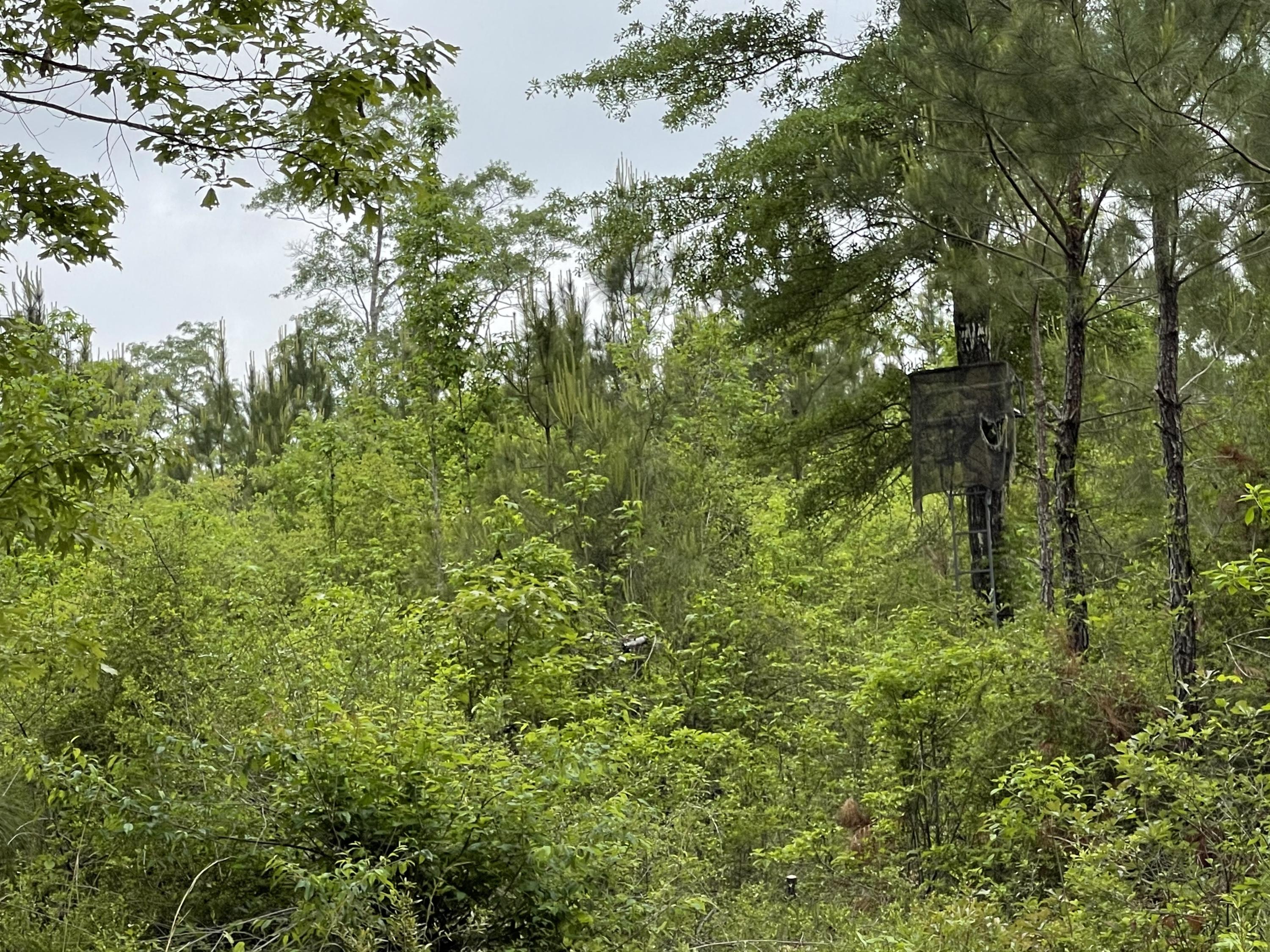 Metes and Bounds - Farm