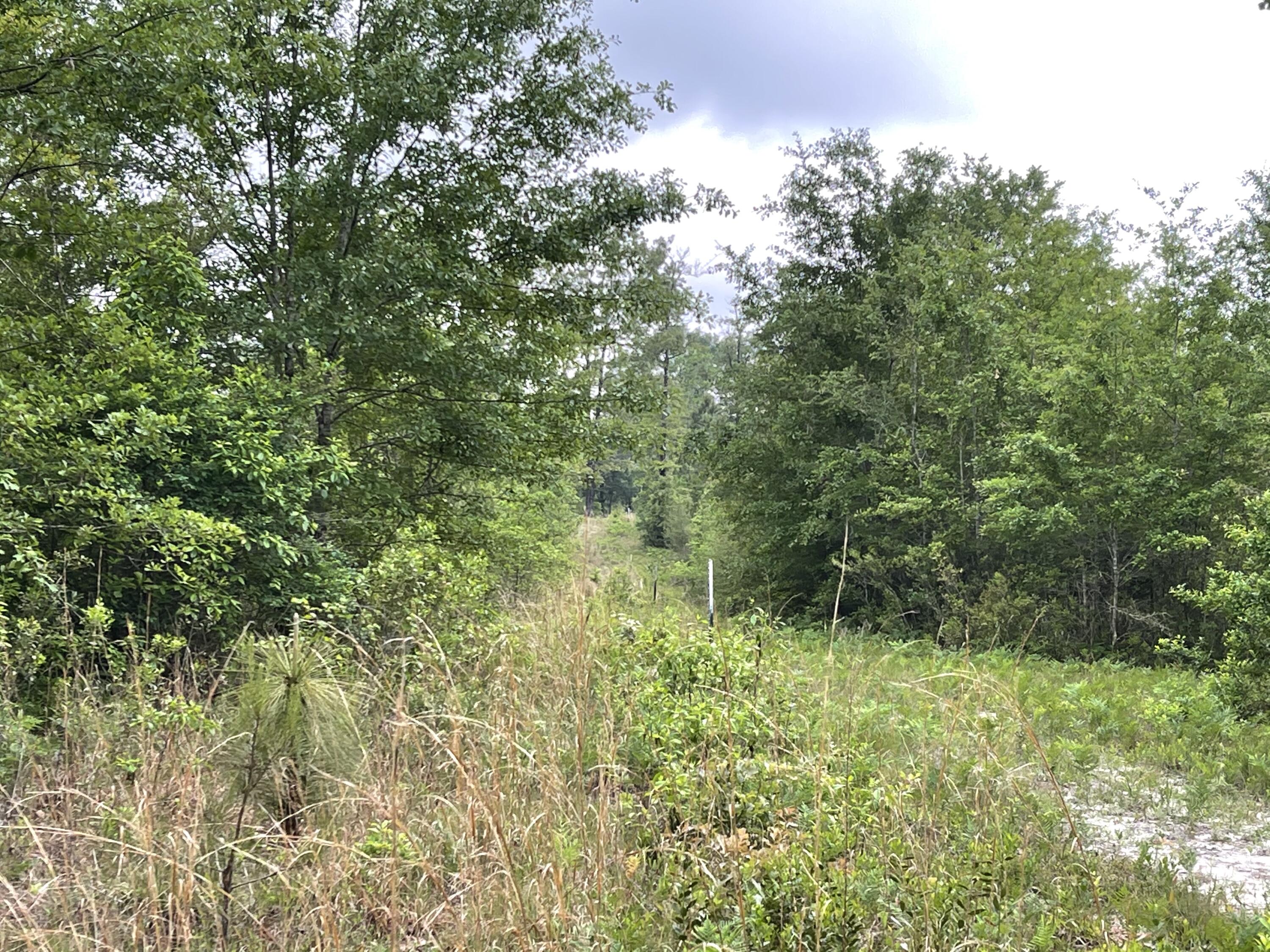 Metes and Bounds - Farm