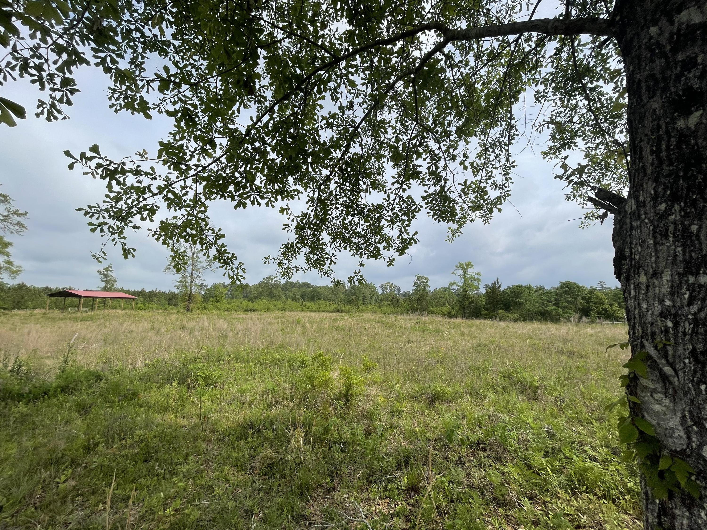 Metes and Bounds - Farm