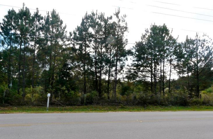 Seller says they will consider ALL SERIOUS offers. Here is your chance to have your own ranch or development in a great area with 500+ feet paved road frontage. This Beautiful 31.7 acres is located at the beginning of Lake Silver in an area of larger very nice new/newer homes and ''Nature Lake'' Subdivision. This is beautiful level property with a small part of Sag Pond at the bottom right side (south end) of the property. Natural gas is available. Gorgeous area, quiet and waiting for you!! The possibilities are endless.