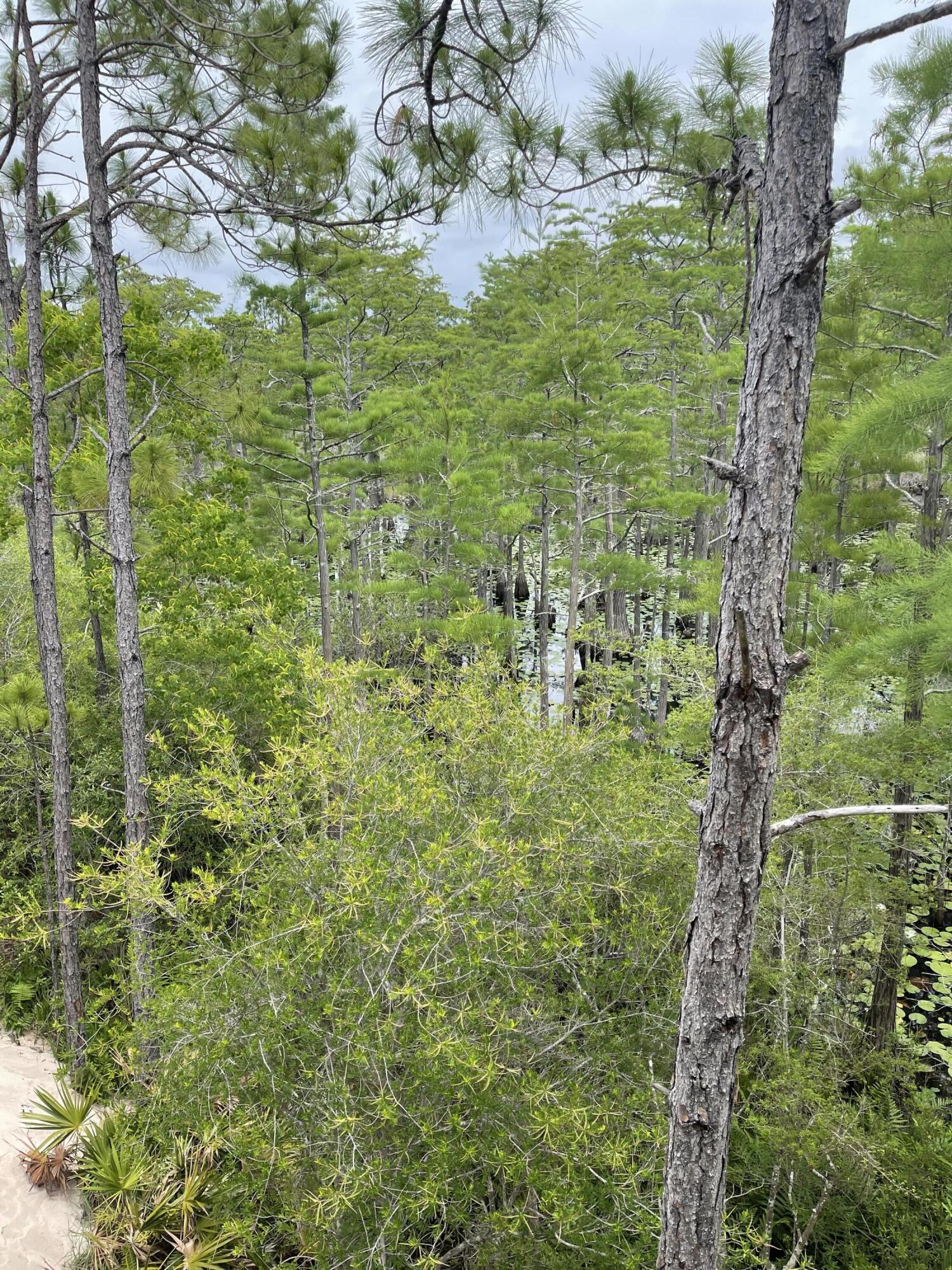 CYPRESS DUNES - Residential