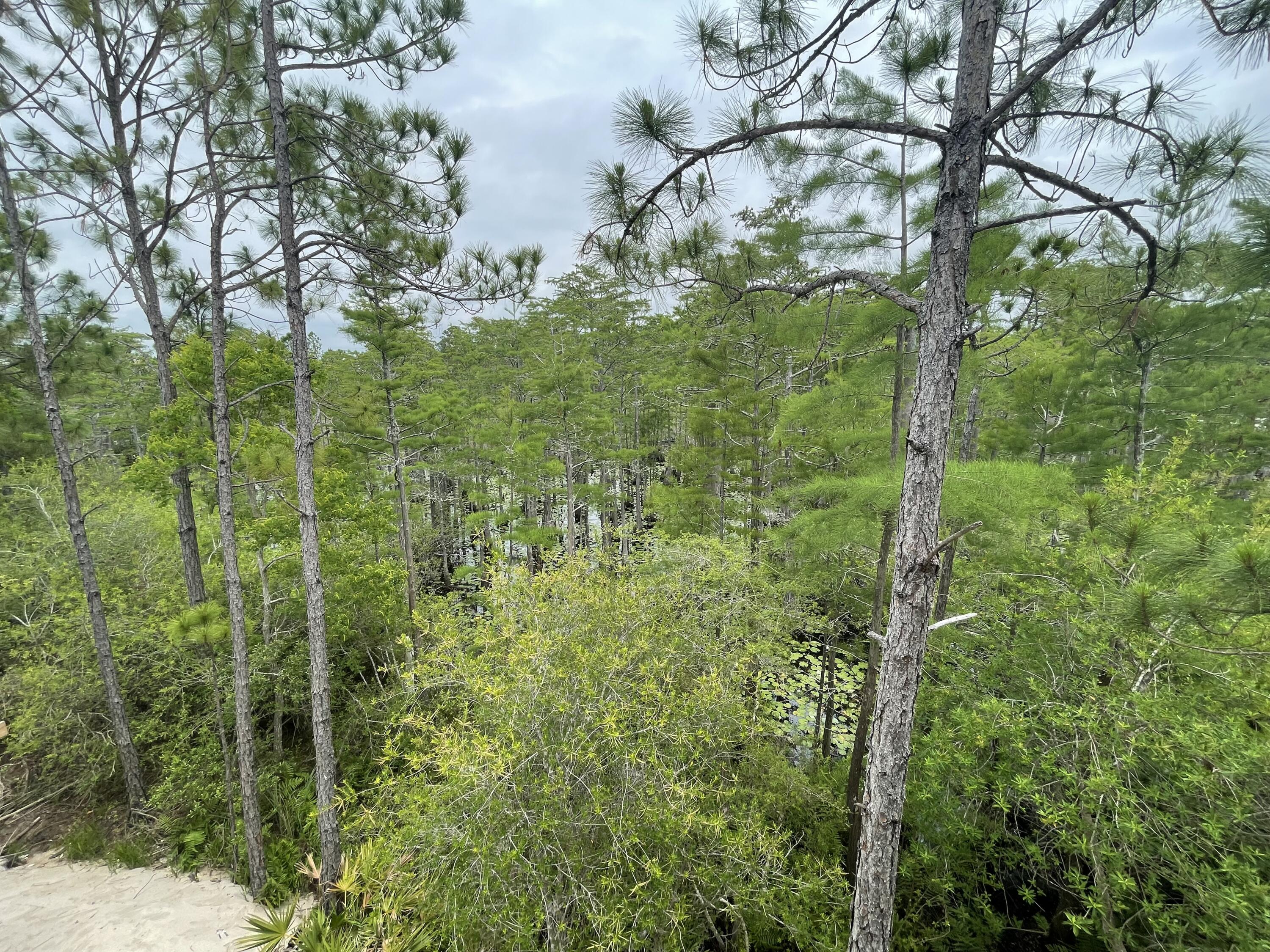 CYPRESS DUNES - Residential