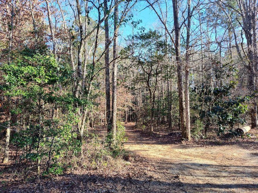 A Cabin in the Country! This Five-Acre Tract , with a new 14'x19' Pole Barn, has most of the improvements in place, making it easier to enjoy the Back-to Nature experience while only minutes from Town! DeFuniak Springs & Ponce de Leon Springs are close by, too. Located on a paved road, the unrestricted Five Acres has been left natural with beautiful oaks, magnolias & pines for privacy. Small cabin with loft & utilities. There is a creek on the back of the property. Several temporary animal pens w/electric fences are in place.  If you are looking for an escape from the hustle & bustle of life, or a weekend get-a-way, or a place for RV Living, this might be just want you have been searching for! Please call to schedule a time to view & to fully appreciate the natural beauty of this property