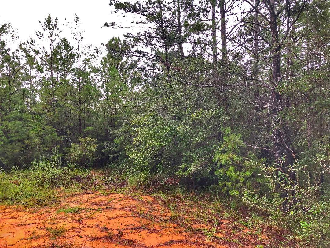 OAKWOOD HILLS UNIT 3 - Land