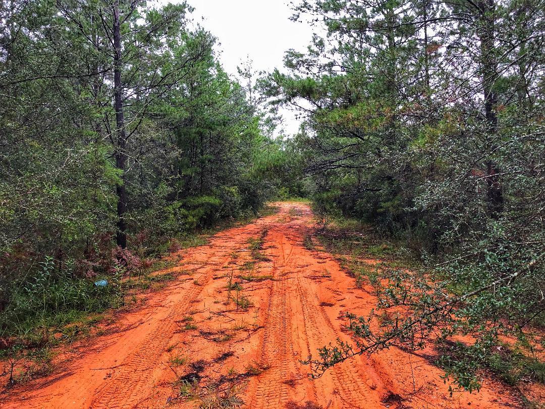 OAKWOOD HILLS UNIT 3 - Land