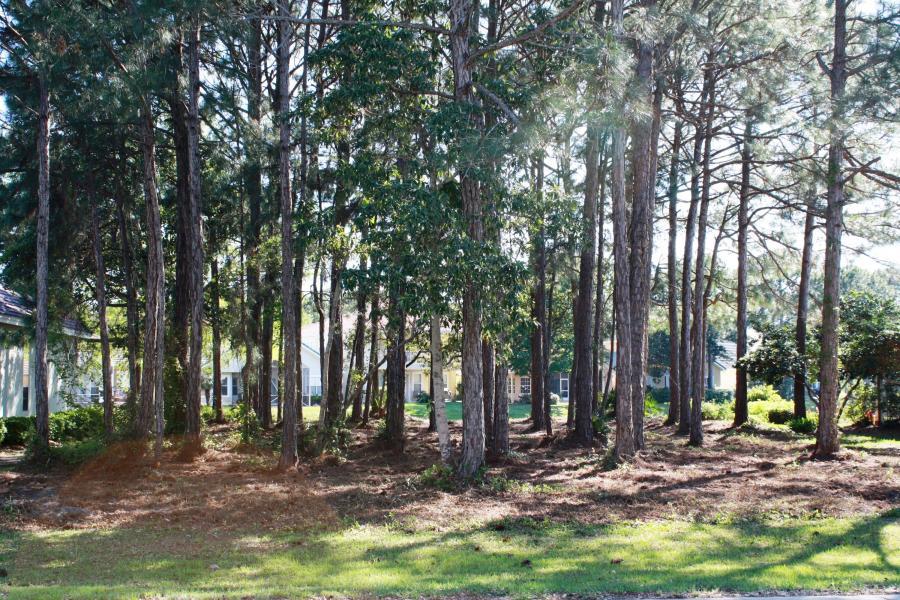 EMERALD BAY PH 1A - Land