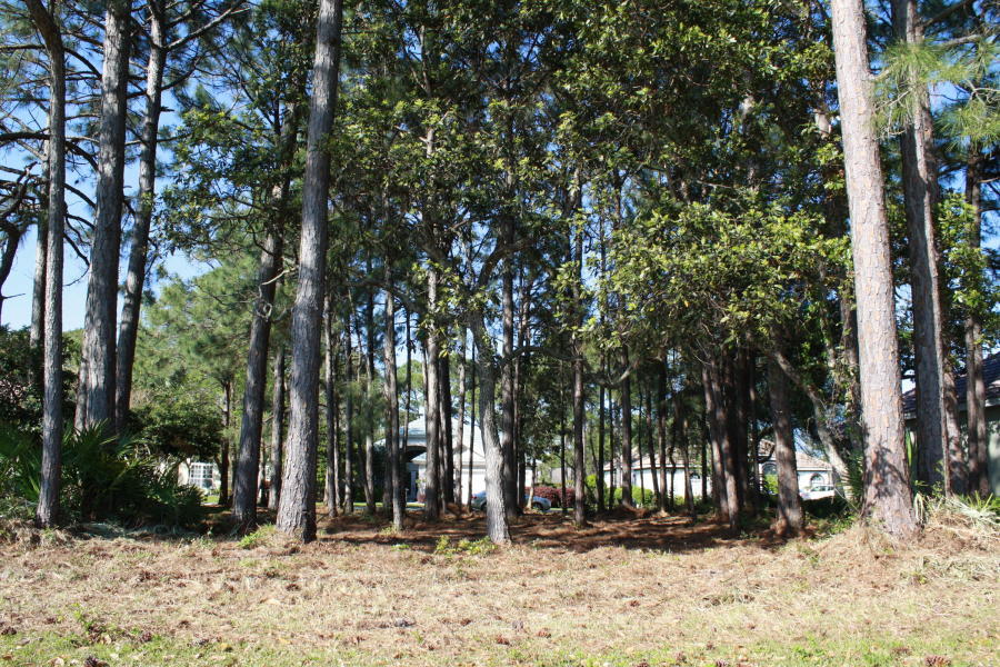 EMERALD BAY PH 1A - Land