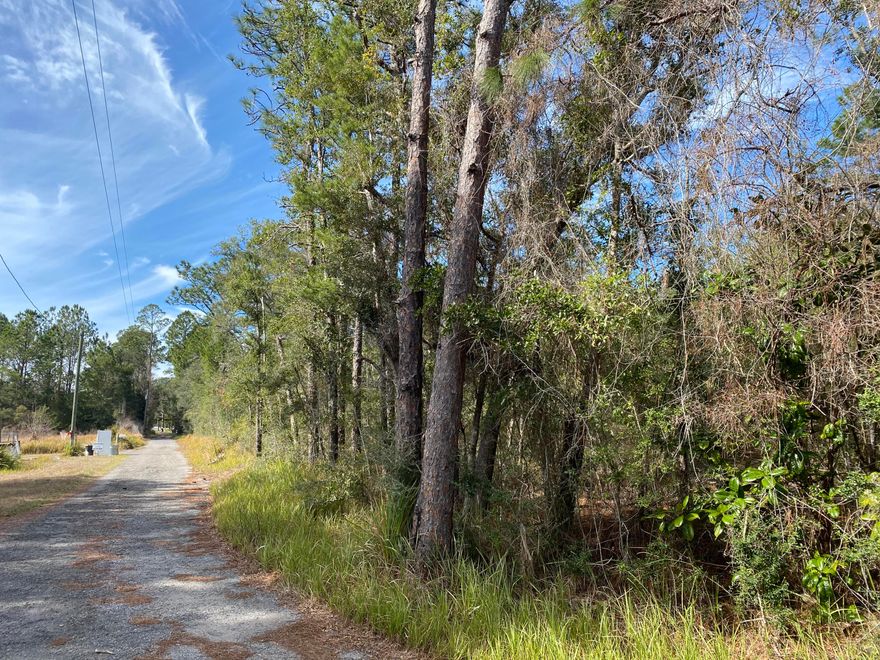 Beautiful wooded acreage.The zoning on this 9.1 acres is ''R-3'' which allows up to 14 units per acre for multi family.This property is located within the Freeport City Limits.Property being sold ''As Is''.Buyer. buyers agent to verify all information to the buyer's satisfaction.