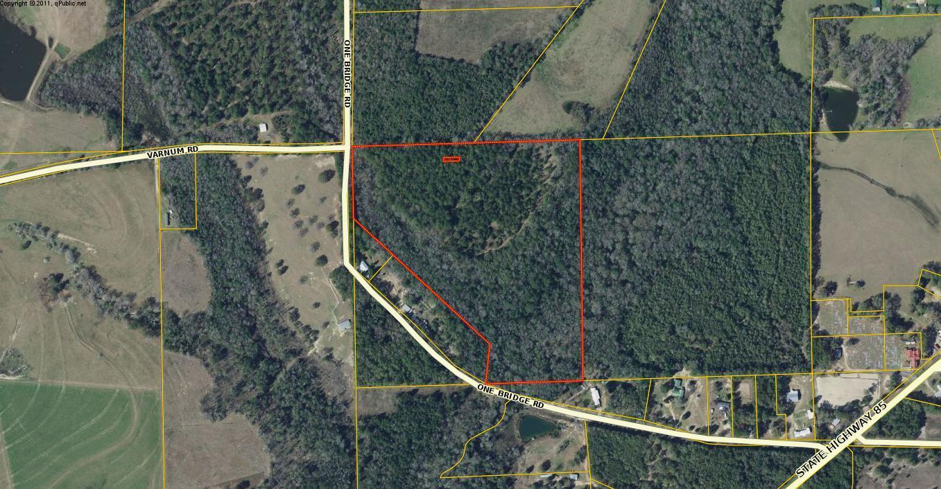 Beautiful, wooded 31 acres with mature trees and room to roam. This would be a great location to build your dream home in the country and have all the privacy you ever dreamed of and more. If you enjoy hunting or if you just enjoy watching the wildlife, you can certainly enjoy the great outdoors here.