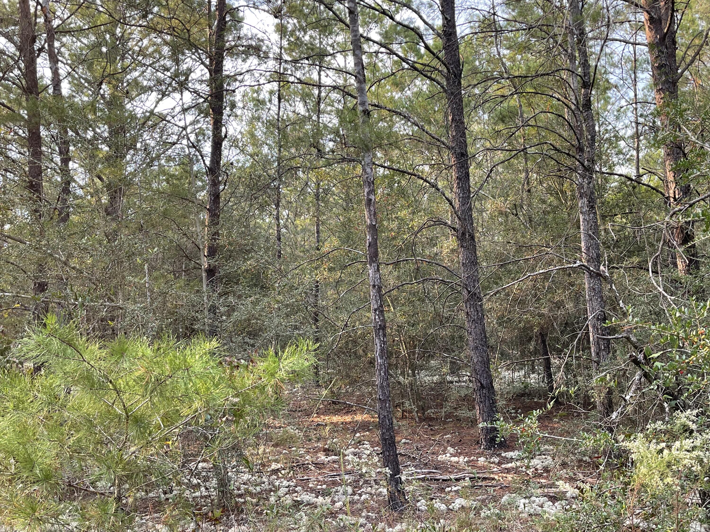 OAKWOOD HILLS UNIT 3 - Land