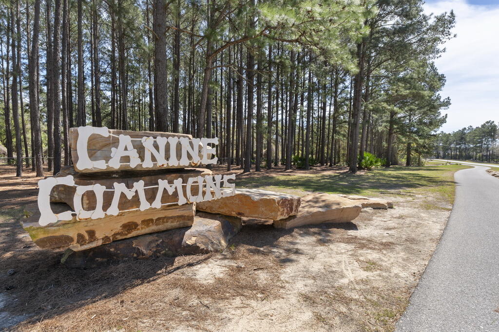 THE VINEYARDS - Residential