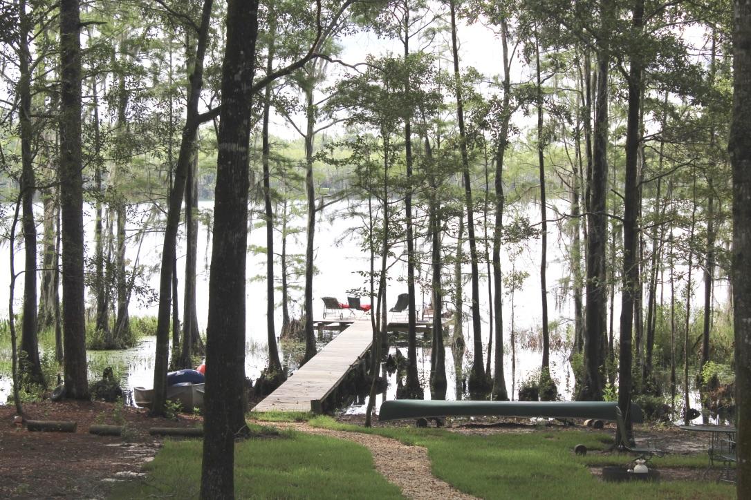 BLUE CYPRESS - Residential