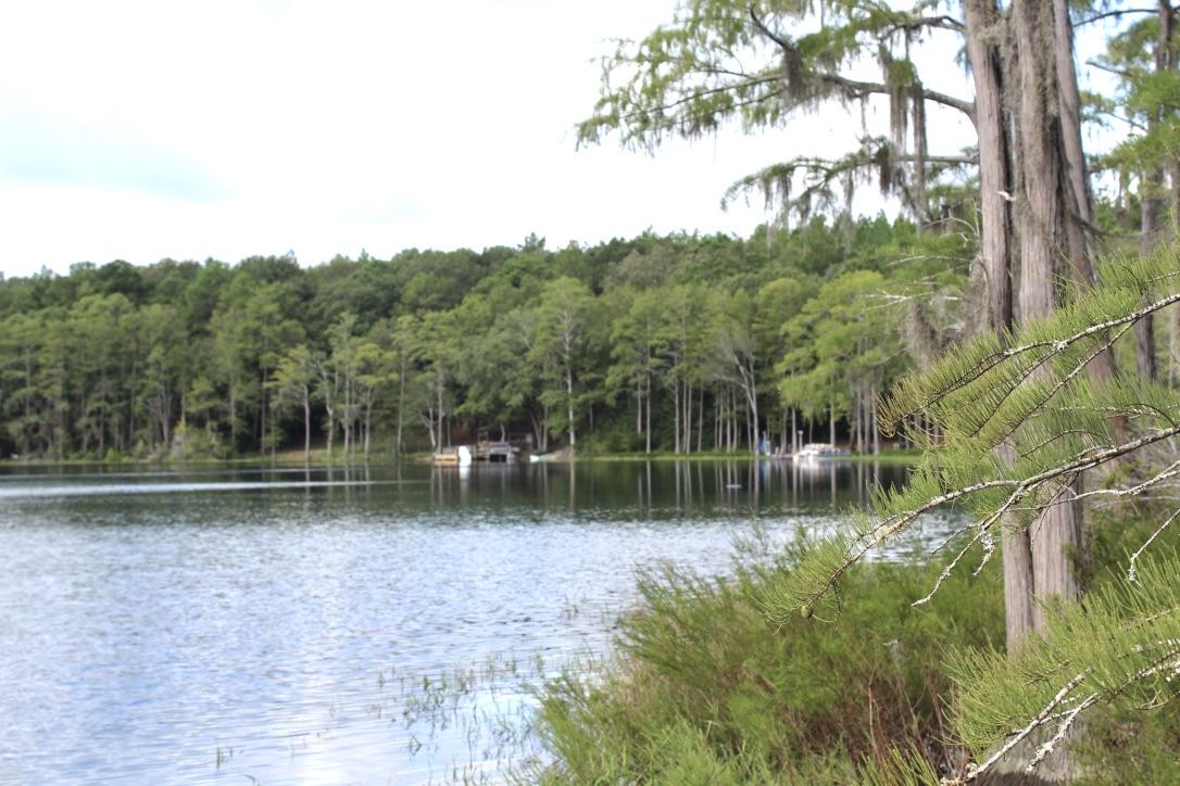 BLUE CYPRESS - Residential