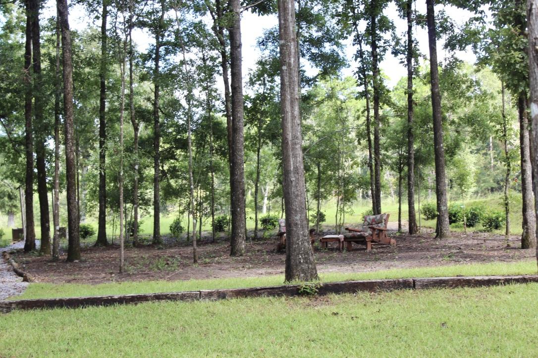 BLUE CYPRESS - Residential