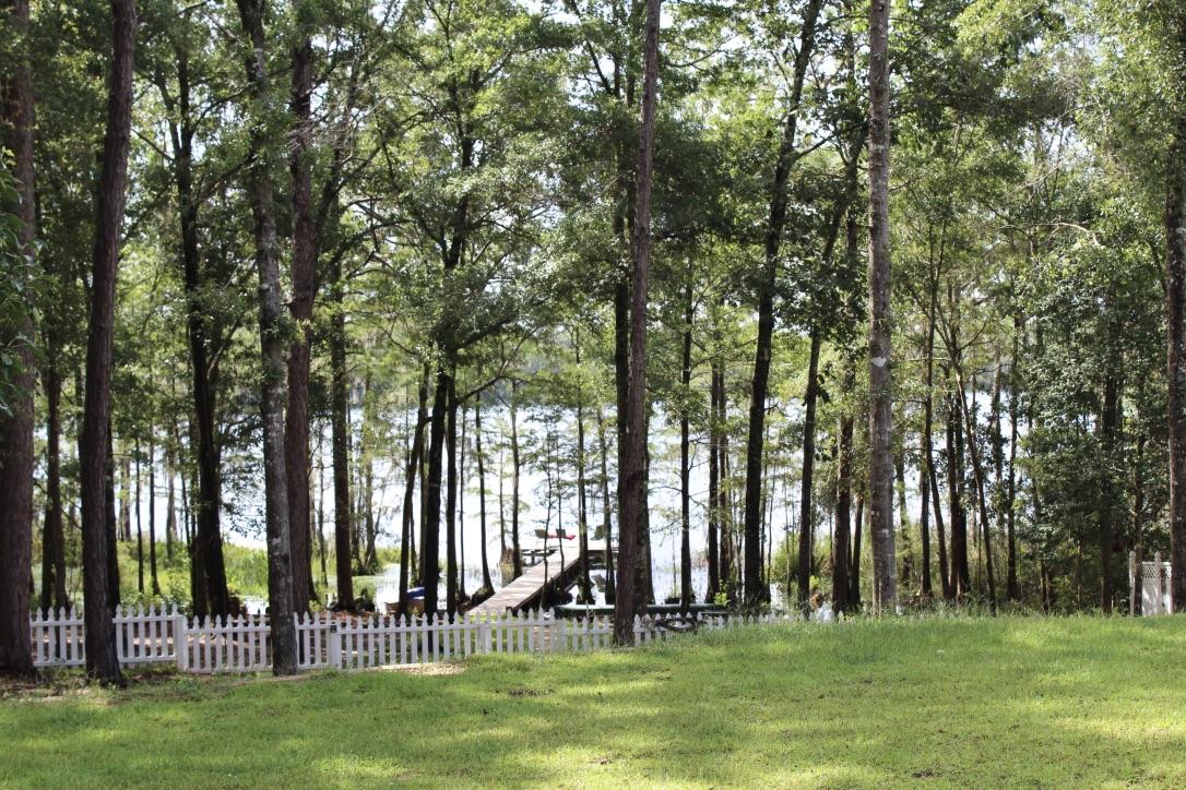 BLUE CYPRESS - Residential