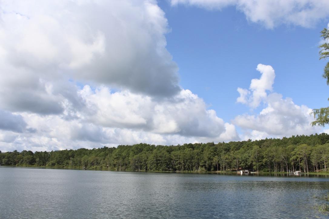BLUE CYPRESS - Residential