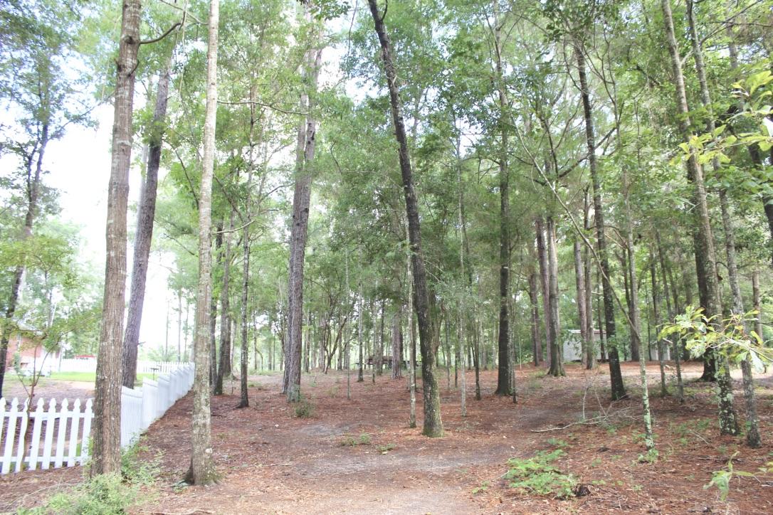 BLUE CYPRESS - Residential