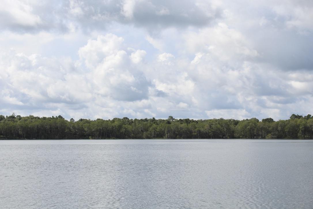 BLUE CYPRESS - Residential