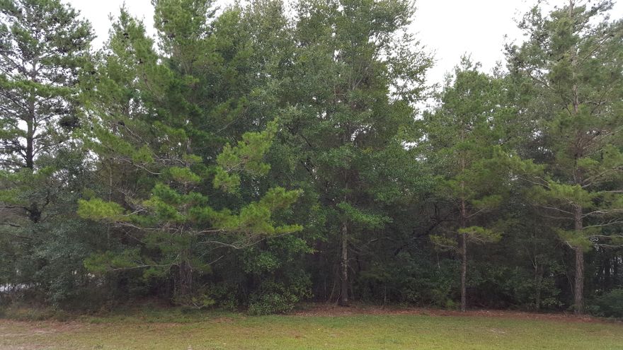 Why buy a home when you can build EXACTLY what you want. Nice corner lot in Southwind. Call for more details.